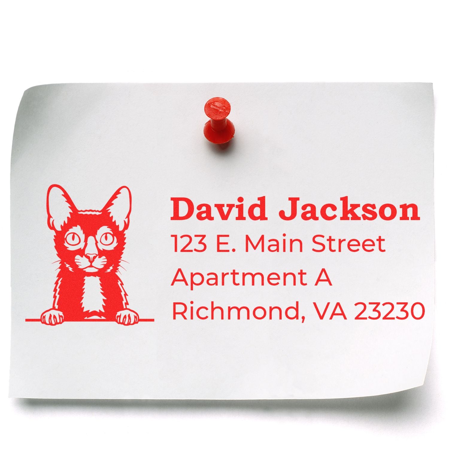 Custom cat return address rubber stamp for David Jackson, Richmond VA 23230, with bold red pet-themed design.