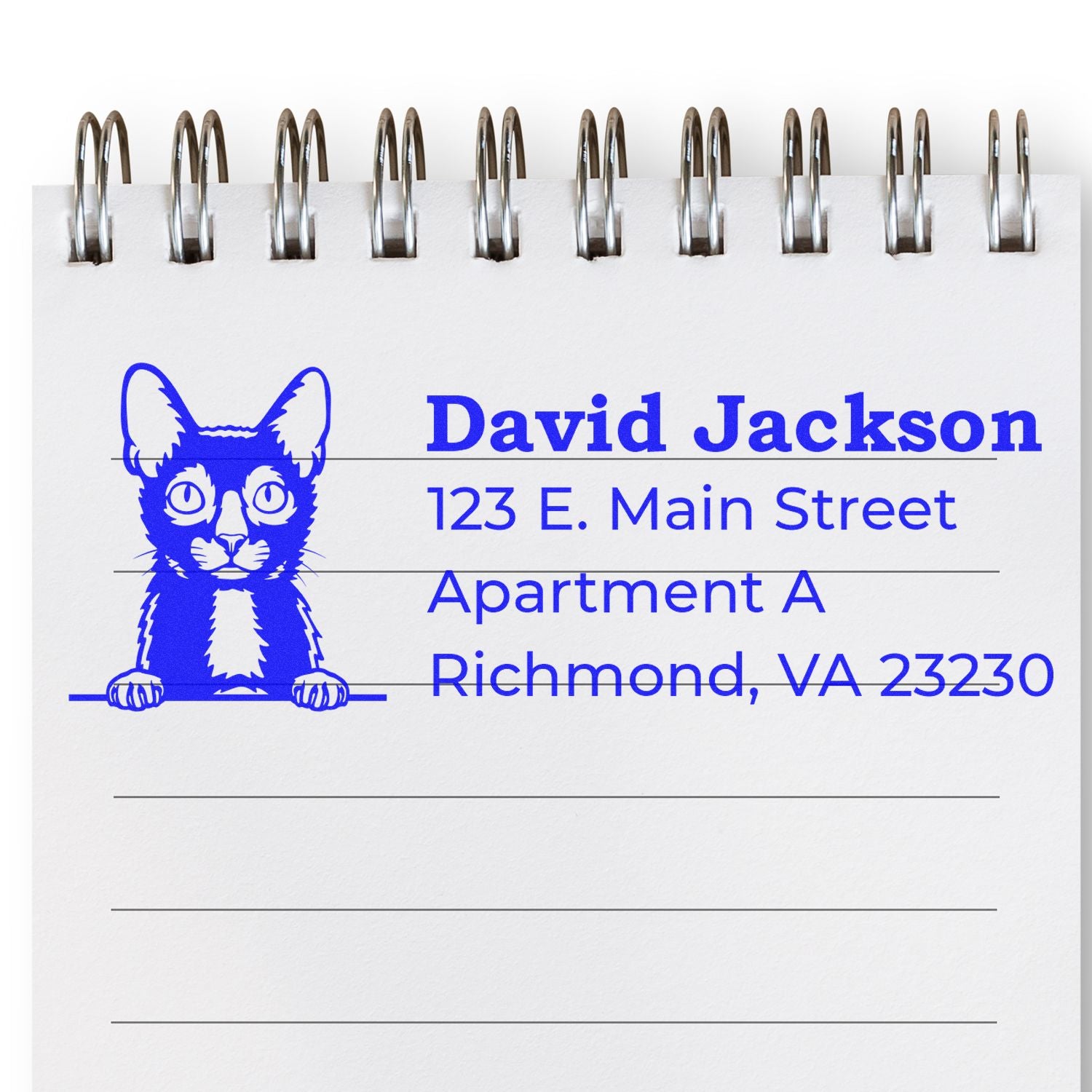 Custom address rubber stamp with cat logo, showing David Jackson, 123 E. Main Street, Apartment A, Richmond, VA 23230.