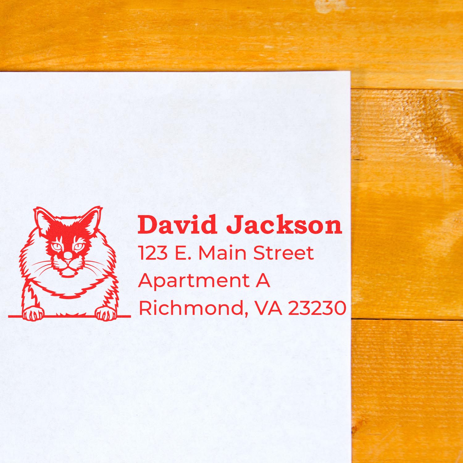 Personalized cat return address rubber stamp in red with name and Richmond, VA mailing address