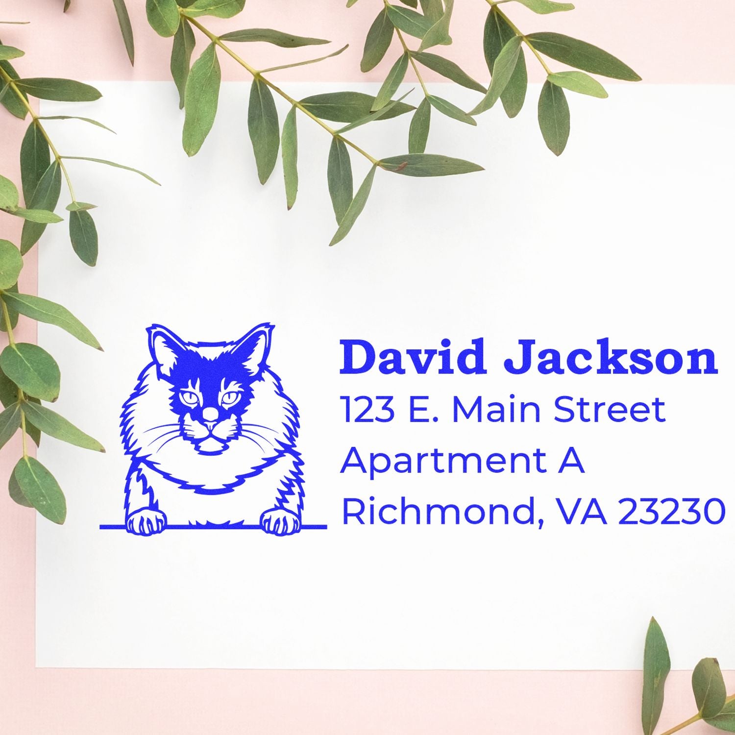 Custom cat address rubber stamp for personal mail and stationery, with name and Richmond, VA mailing address.