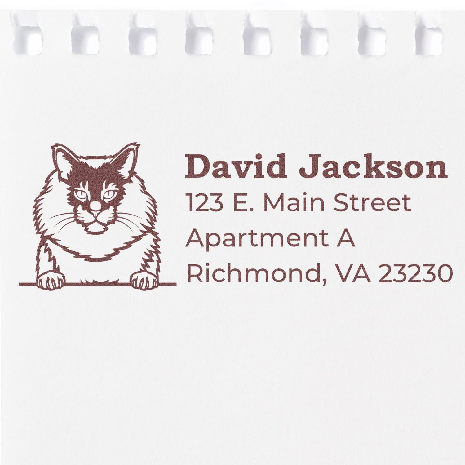 Personalized cat return address rubber stamp for David Jackson, 123 E. Main Street Apt A, Richmond, VA 23230