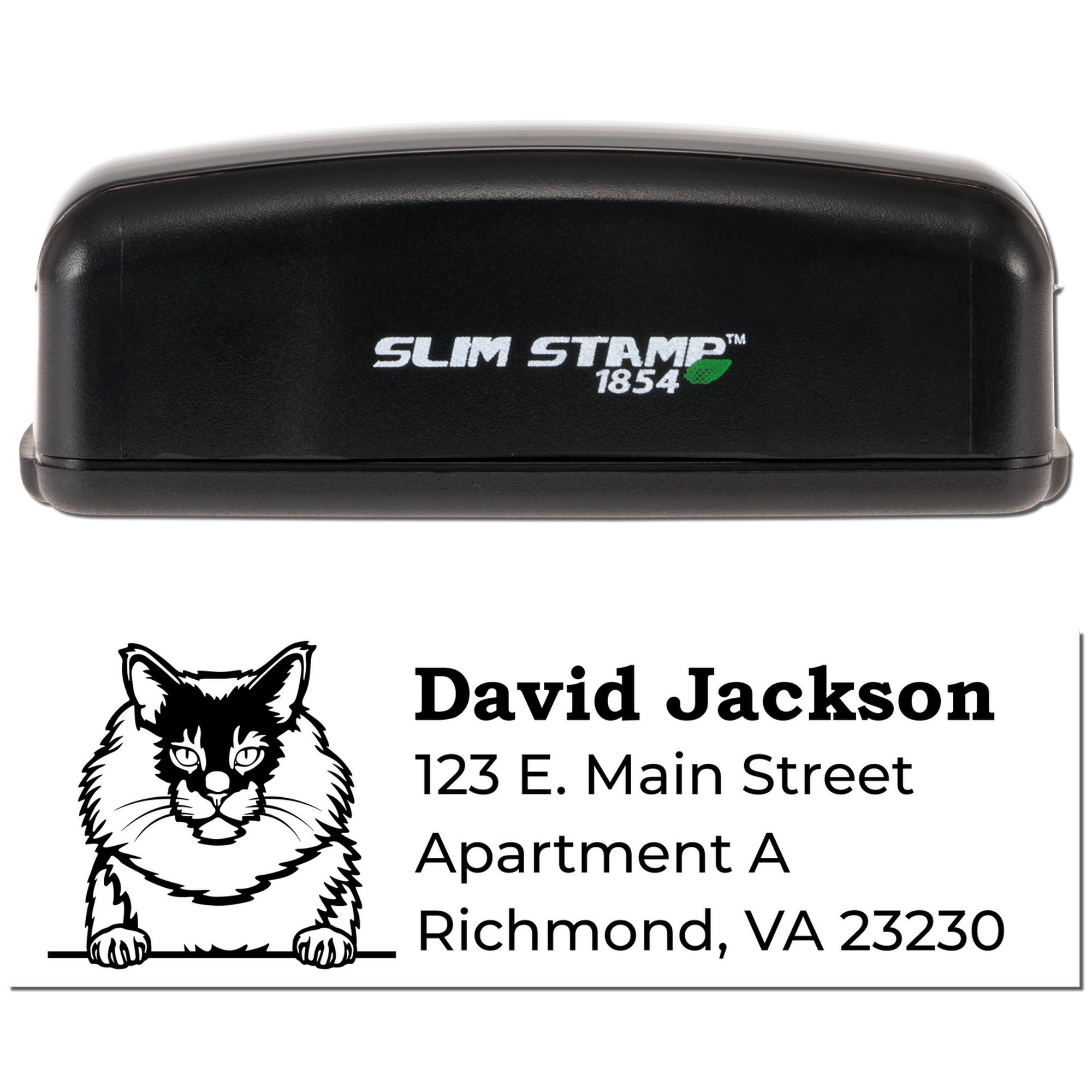 Custom rubber address stamp with cat logo and David Jackson return address, shown in Slim Stamp 1854 self-inking case.