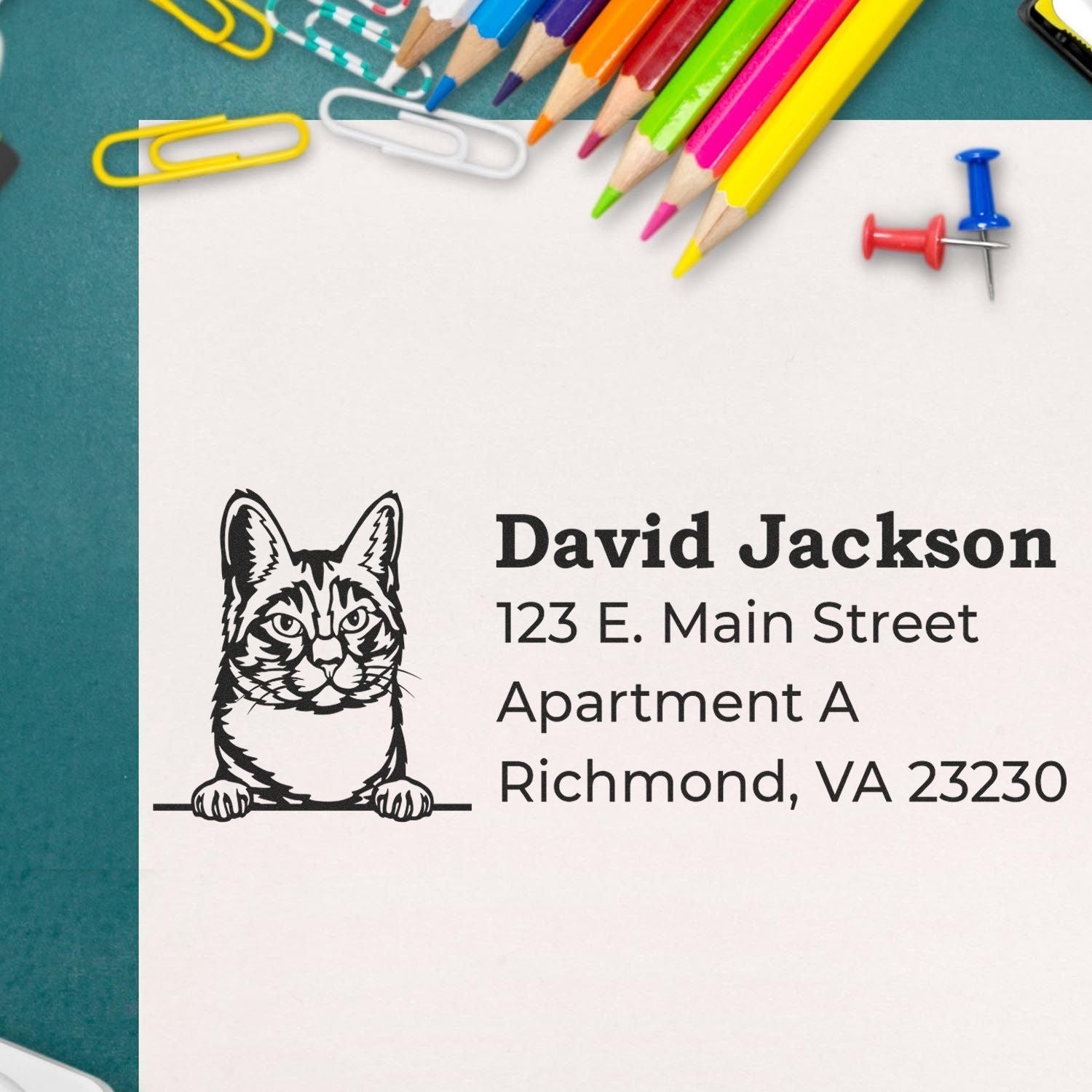 Personalized cat return address rubber stamp with name and Richmond mailing address for envelopes.