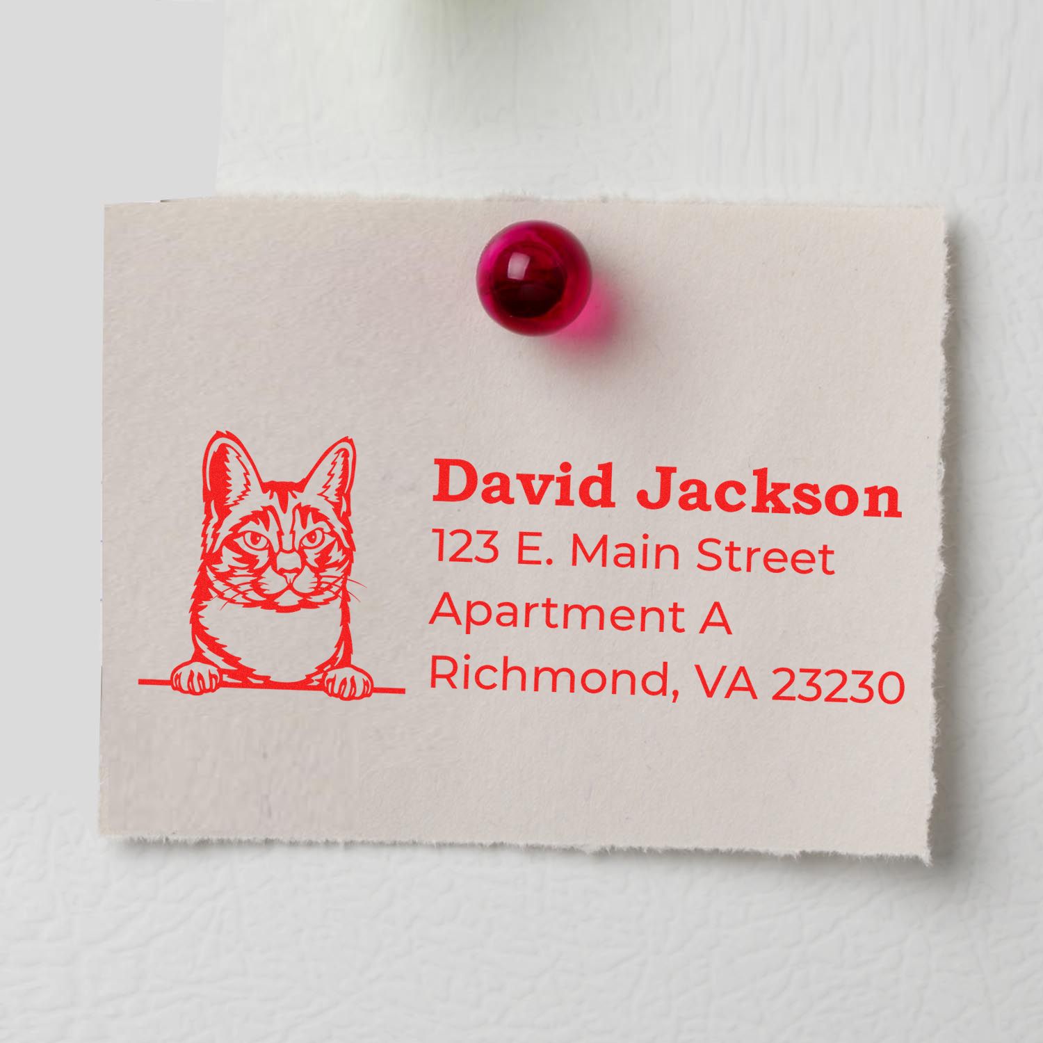 Personalized cat return address rubber stamp in red ink on paper, featuring name and Richmond, VA address.