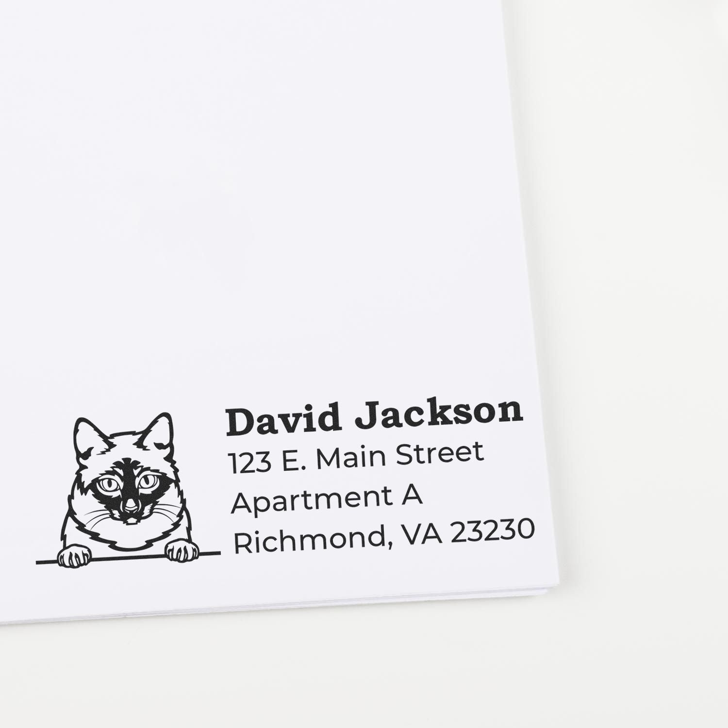 Personalized cat address rubber stamp for David Jackson, Richmond VA return mailing labels
