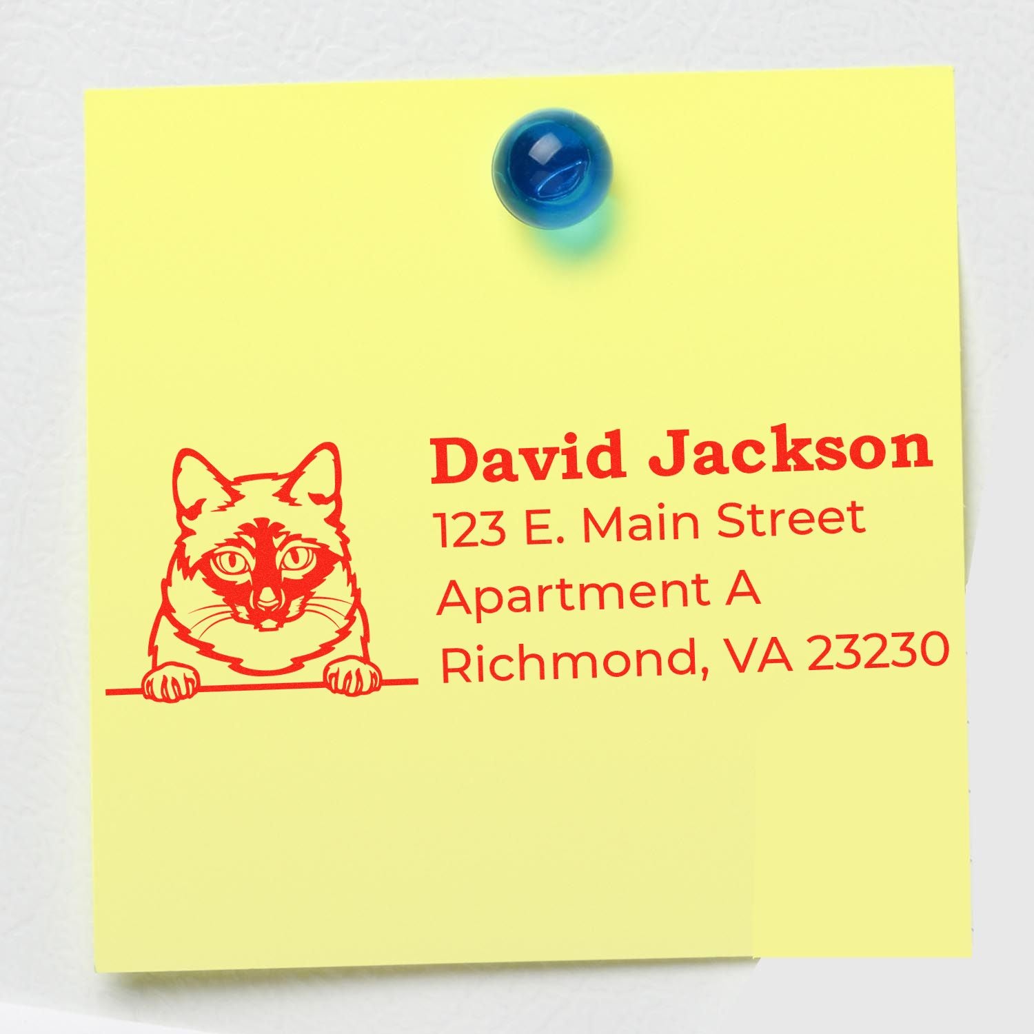 Custom cat address rubber stamp with name, street address, and Richmond, VA mailing details for personalized stationery.