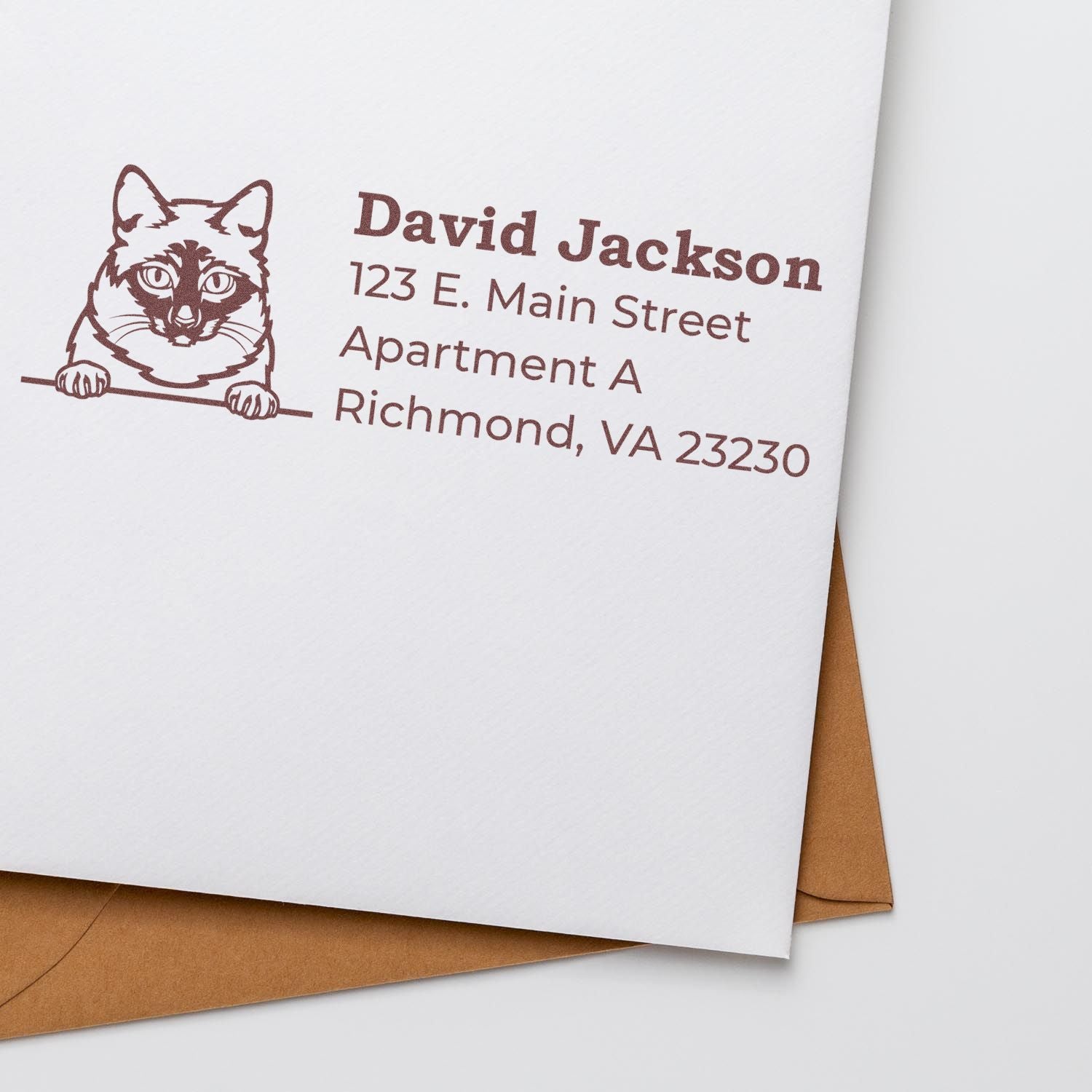 Custom rubber return address stamp with cat illustration on envelope for David Jackson, Richmond, VA