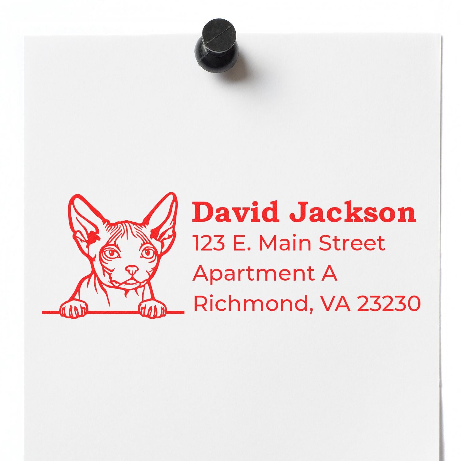 Personalized cat address rubber stamp with name and mailing address for custom pet-themed stationery and envelopes.