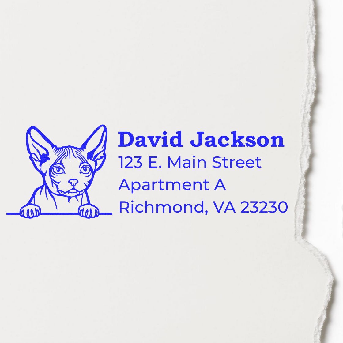Custom return address rubber stamp with cat illustration for David Jackson, Apartment A, Richmond, VA.