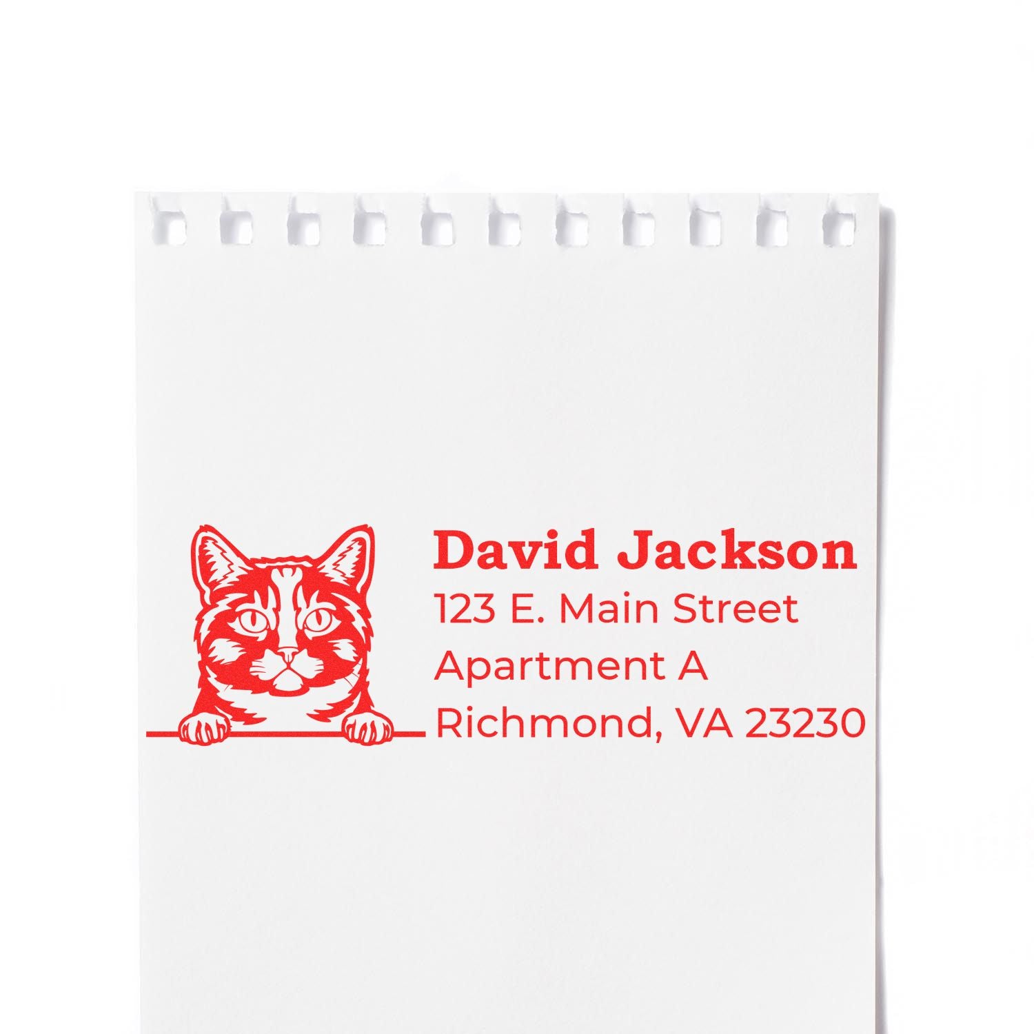 Personalized cat address rubber stamp for David Jackson, with Richmond, VA mailing address in red ink.