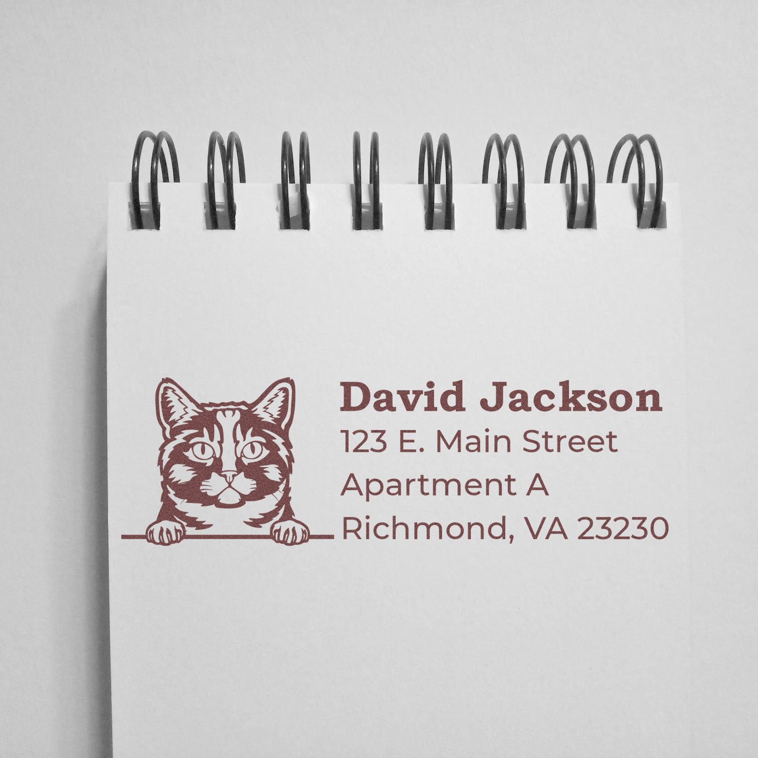 Custom cat address rubber stamp impression with David Jackson's Richmond, VA mailing information on a notebook cover.