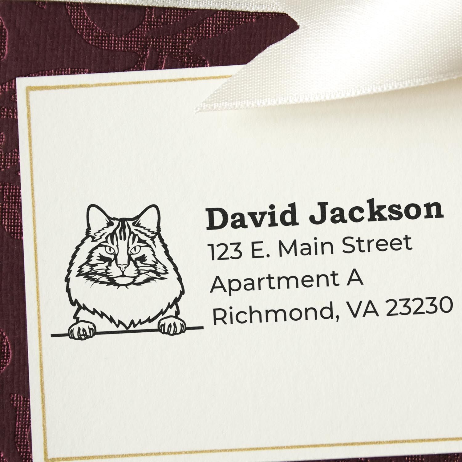 Custom cat return address rubber stamp for envelopes featuring name, apartment, and Richmond, VA mailing address.