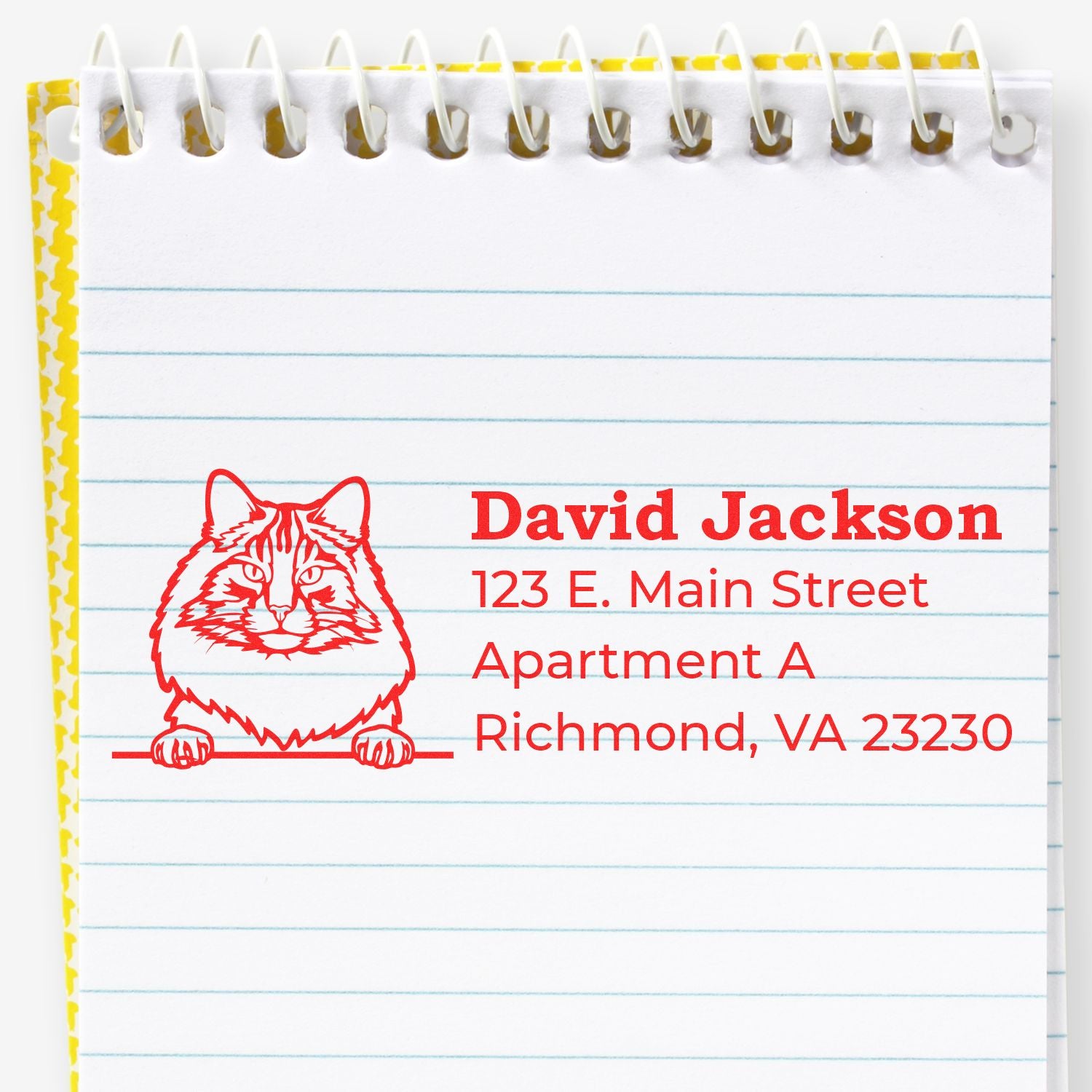 Custom cat address rubber stamp on notepad with David Jackson name and Richmond, VA mailing address.