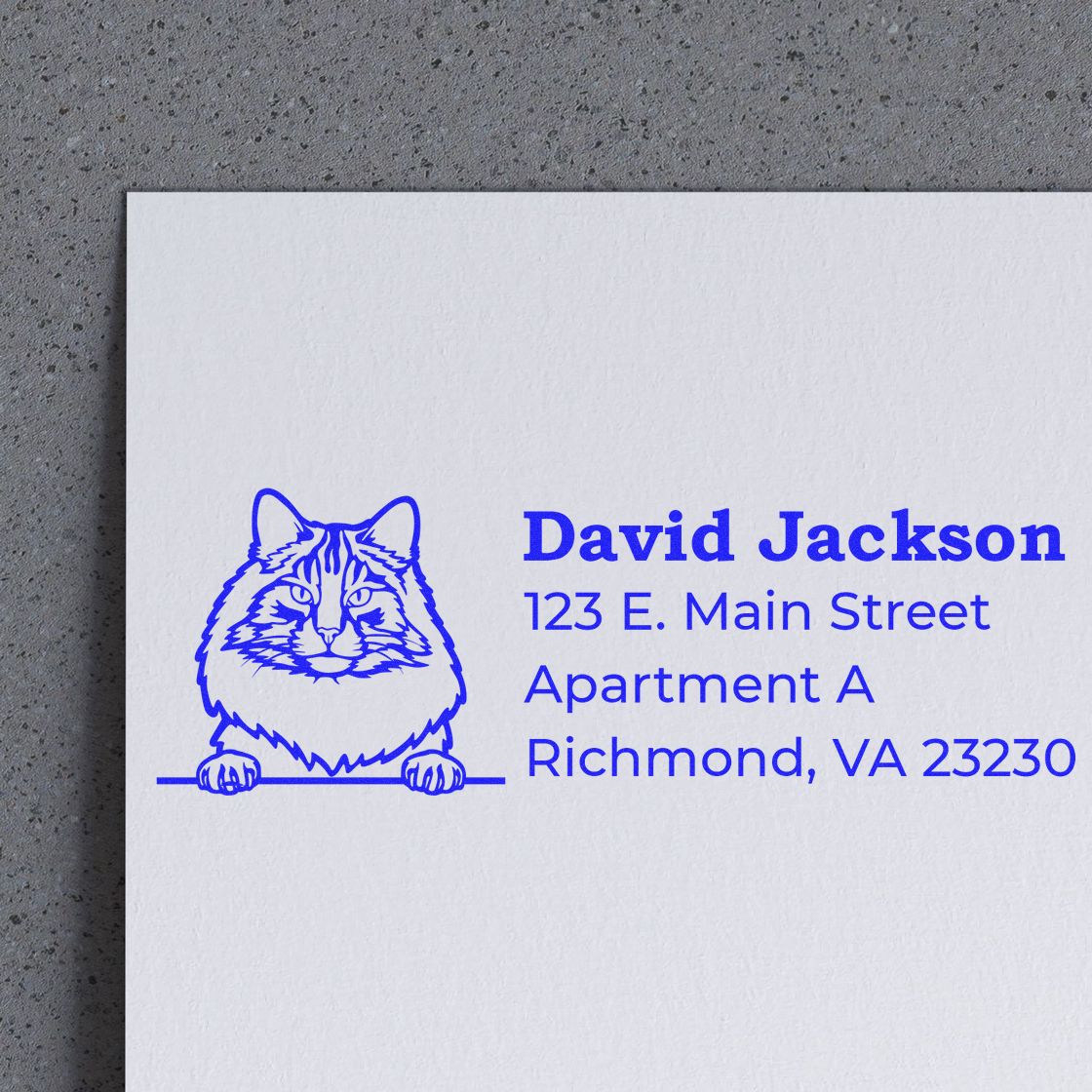 Custom cat address rubber stamp for David Jackson, with Richmond, VA return address and pet-themed design.