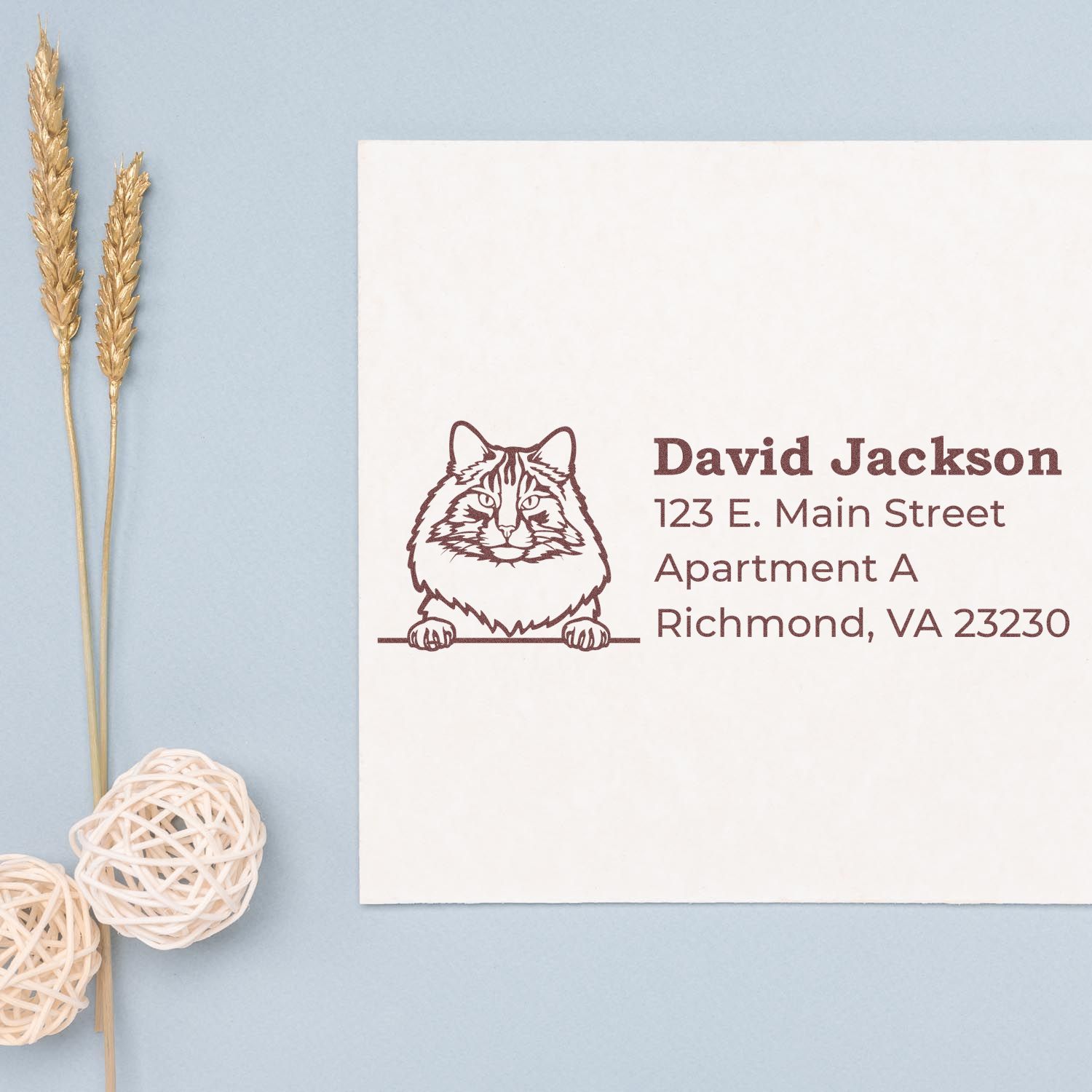 Personalized cat address rubber stamp for envelopes with name and Richmond, VA mailing address.