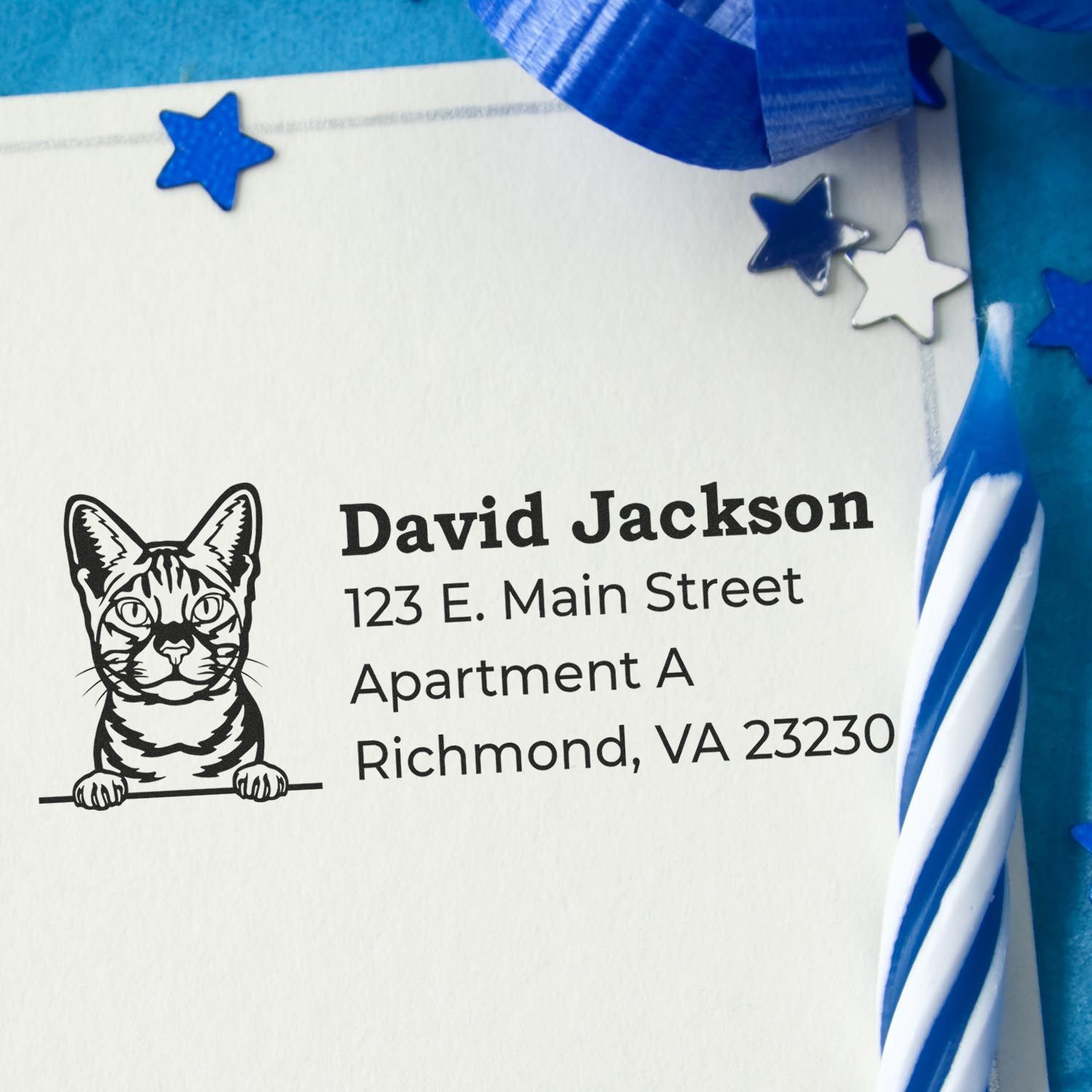 Custom cat return address rubber stamp on envelope, featuring personalized address for David Jackson in Richmond, VA