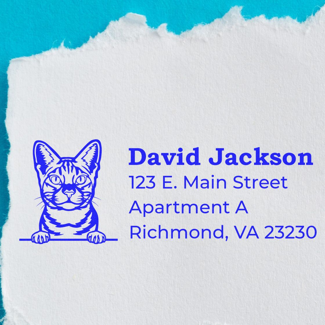 Custom cat address stamp for David Jackson, 123 E. Main Street, Richmond, VA 23230