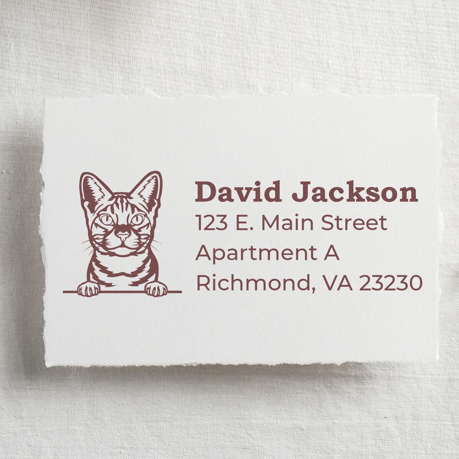 Custom cat return address rubber stamp with name and Richmond, VA apartment address for envelopes and stationery.