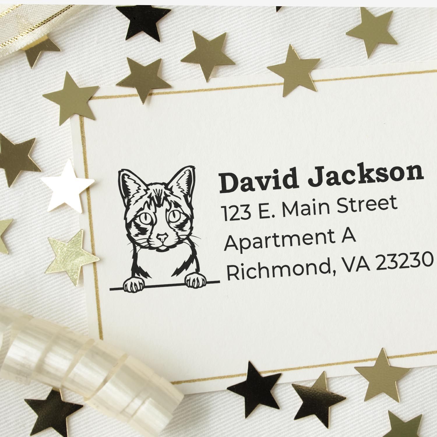 Custom cat return address rubber stamp on envelope, with personalized name, address, and playful feline illustration.