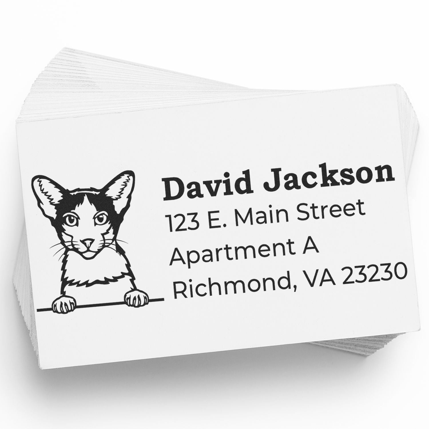 Custom cat address rubber stamp with name and Richmond, VA mailing details on stacked cards