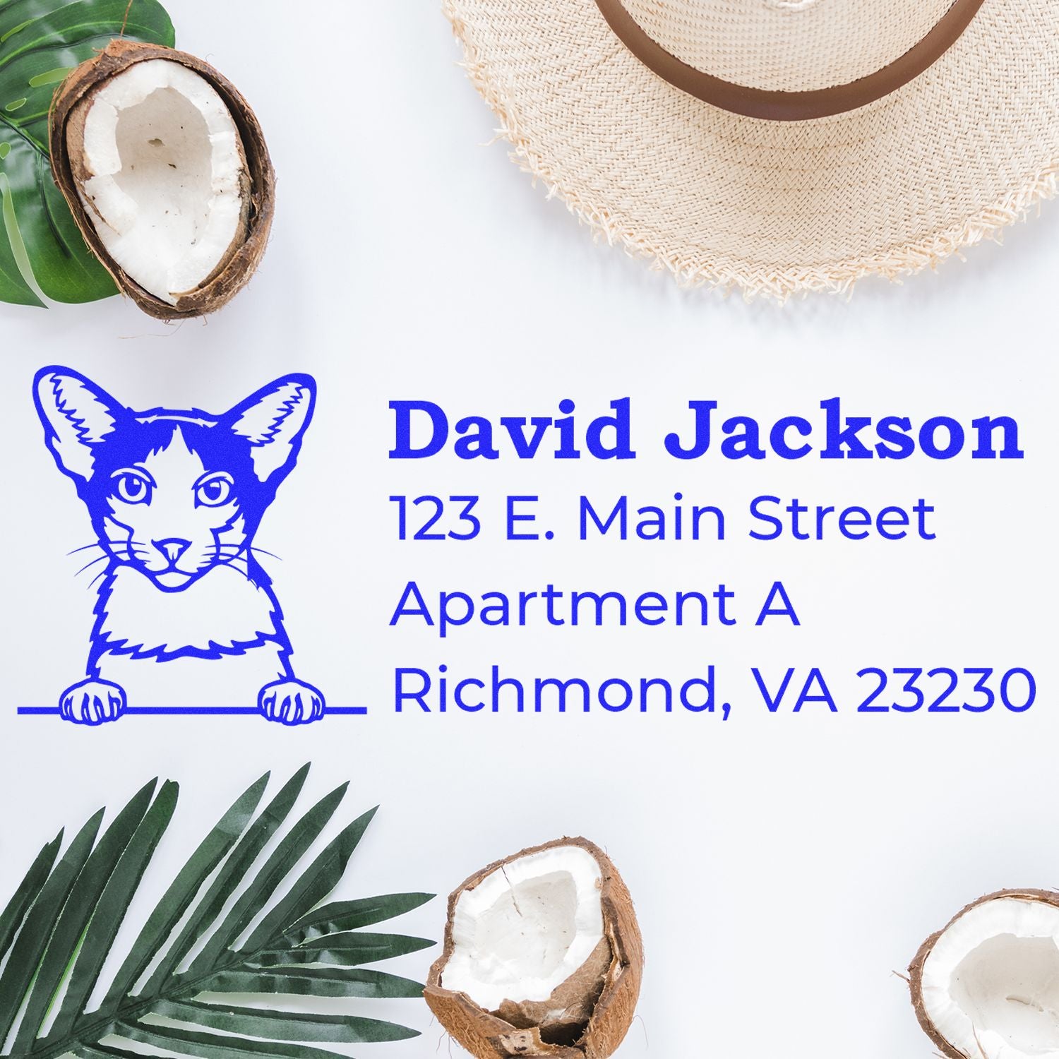 Custom cat return address rubber stamp for David Jackson, featuring a personalized apartment mailing address for envelopes.