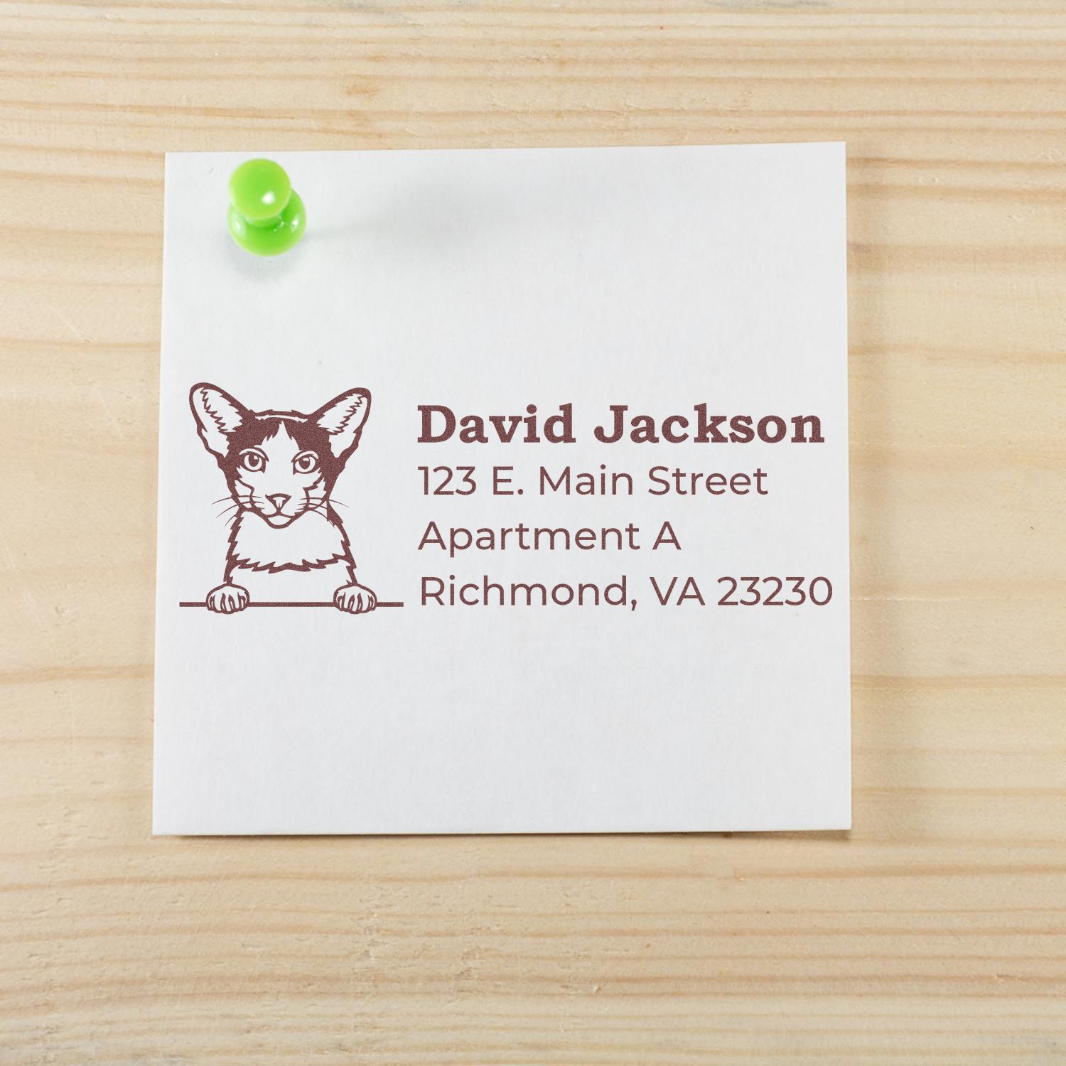 Custom cat return address rubber stamp with David Jackson name and Richmond, VA address.