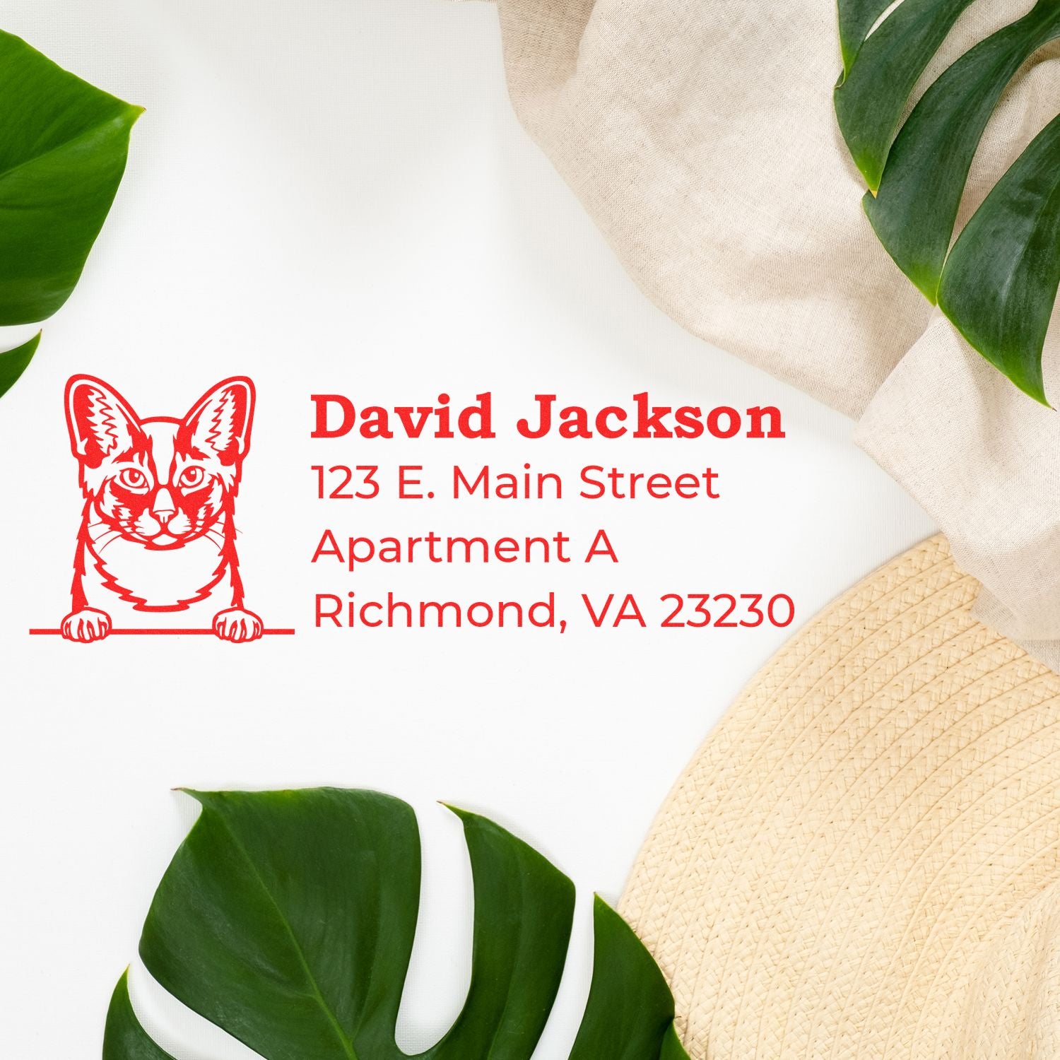 Custom cat return address rubber stamp with David Jacksons name and Richmond, VA mailing address.
