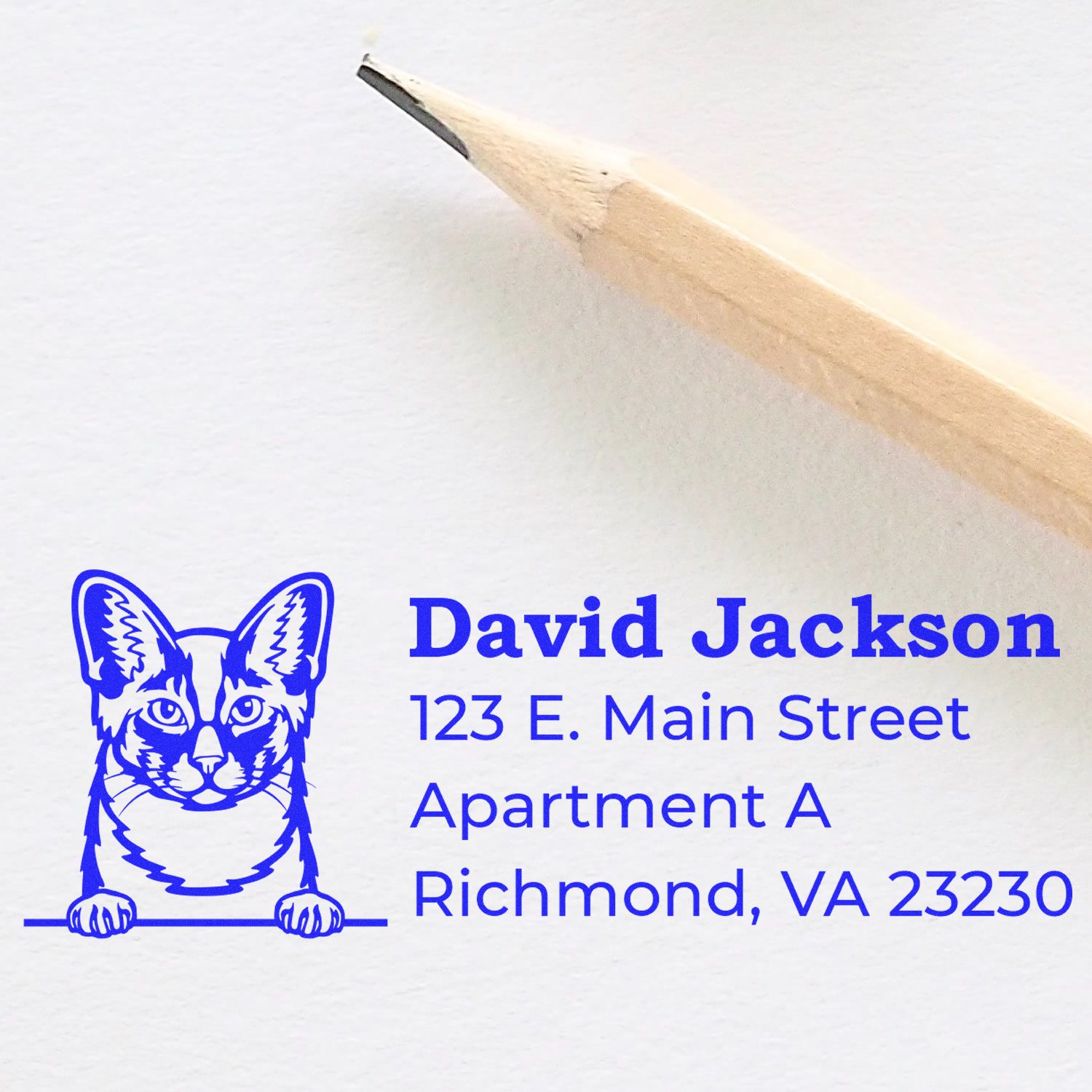 Custom return address rubber stamp with cat logo for David Jackson, 123 E. Main Street, Apartment A, Richmond, VA 23230.