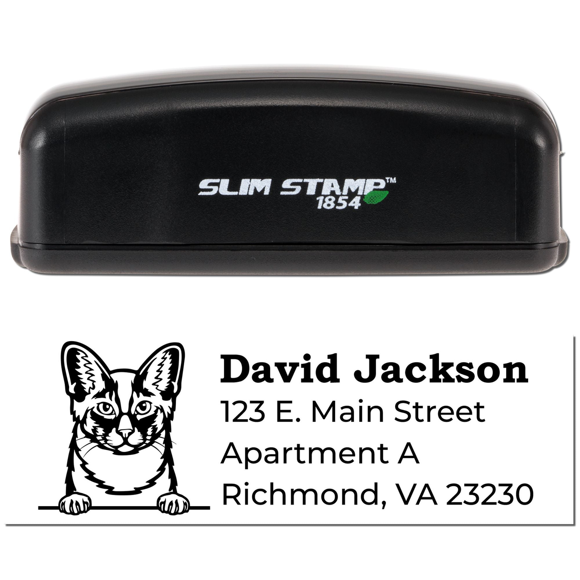 Custom self-inking address rubber stamp with cat design, David Jackson name, and Richmond, VA return address.