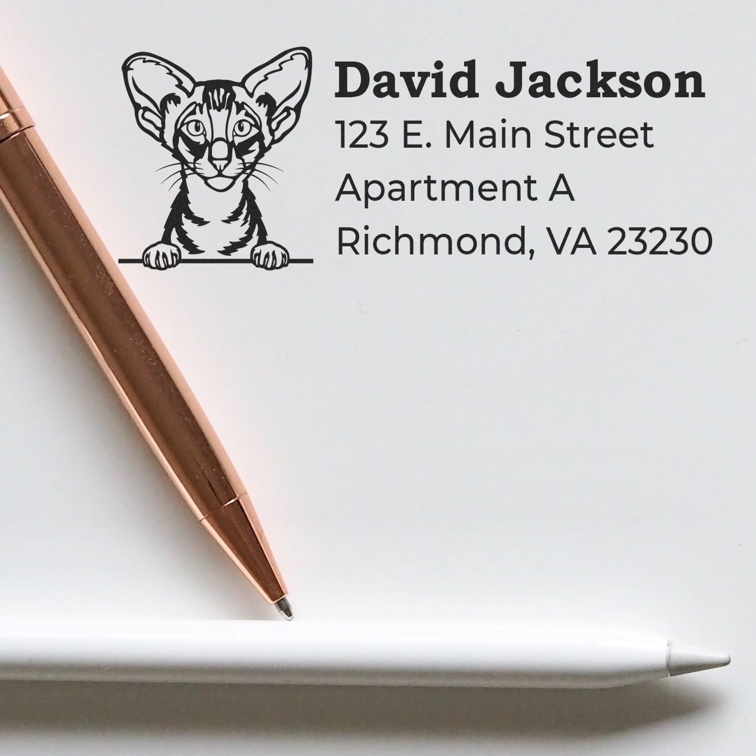 Custom return address rubber stamp with cat logo for David Jackson, Richmond, VA 23230