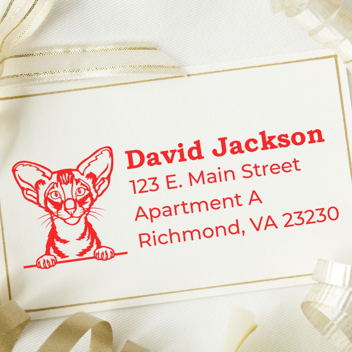 Personalized cat address rubber stamp with red return address for David Jackson in Richmond, VA.