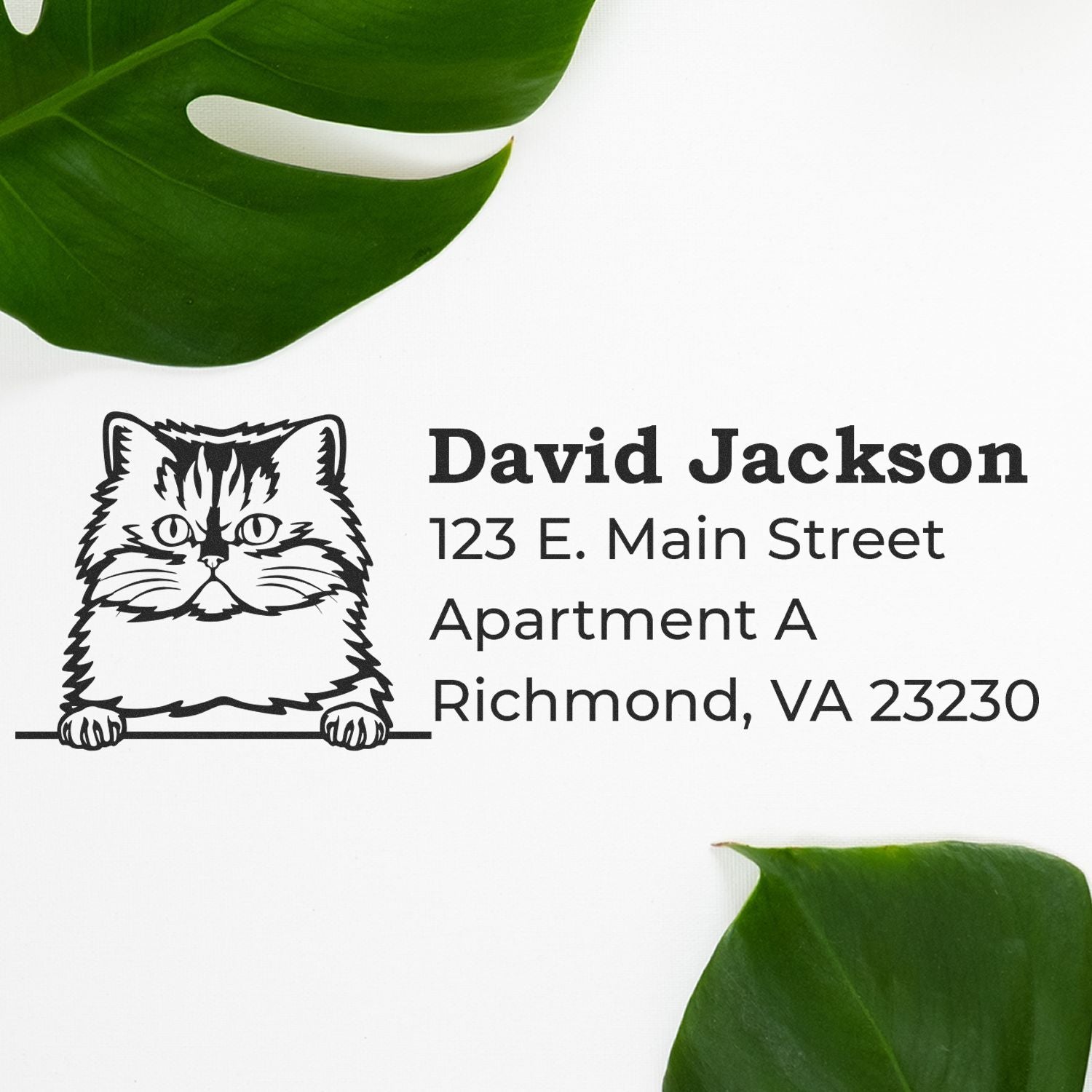 Personalized cat return address rubber stamp with David Jackson, 123 E. Main Street Apt A, Richmond, VA 23230.