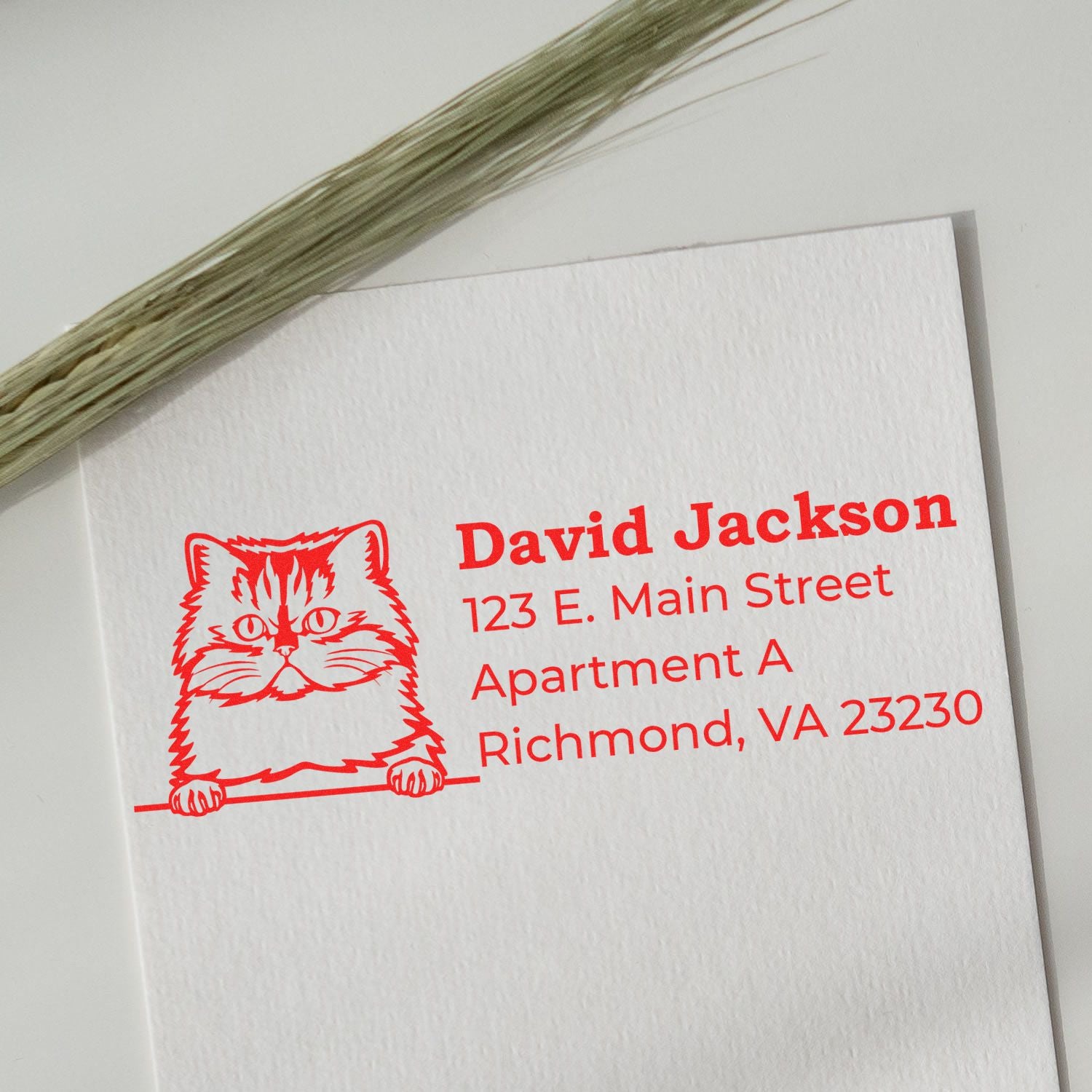 Personalized cat return address rubber stamp in red ink on white card, featuring name and mailing address for custom mail use.