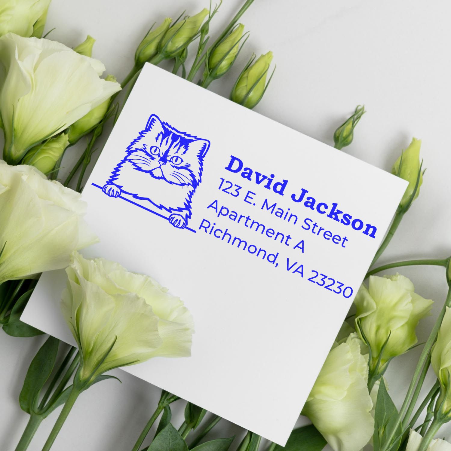 Custom cat return address rubber stamp with blue ink, featuring personalized name and mailing address for envelopes.