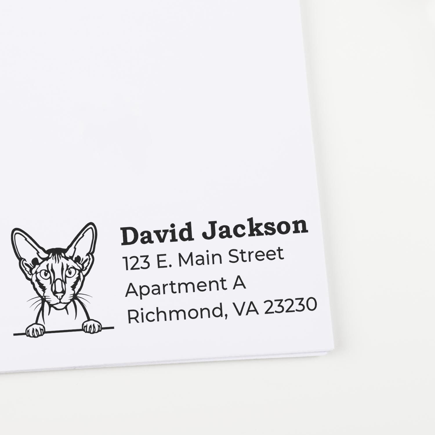 Custom address rubber stamp with cat illustration, David Jackson return address, Richmond VA 23230 for envelopes and mail.