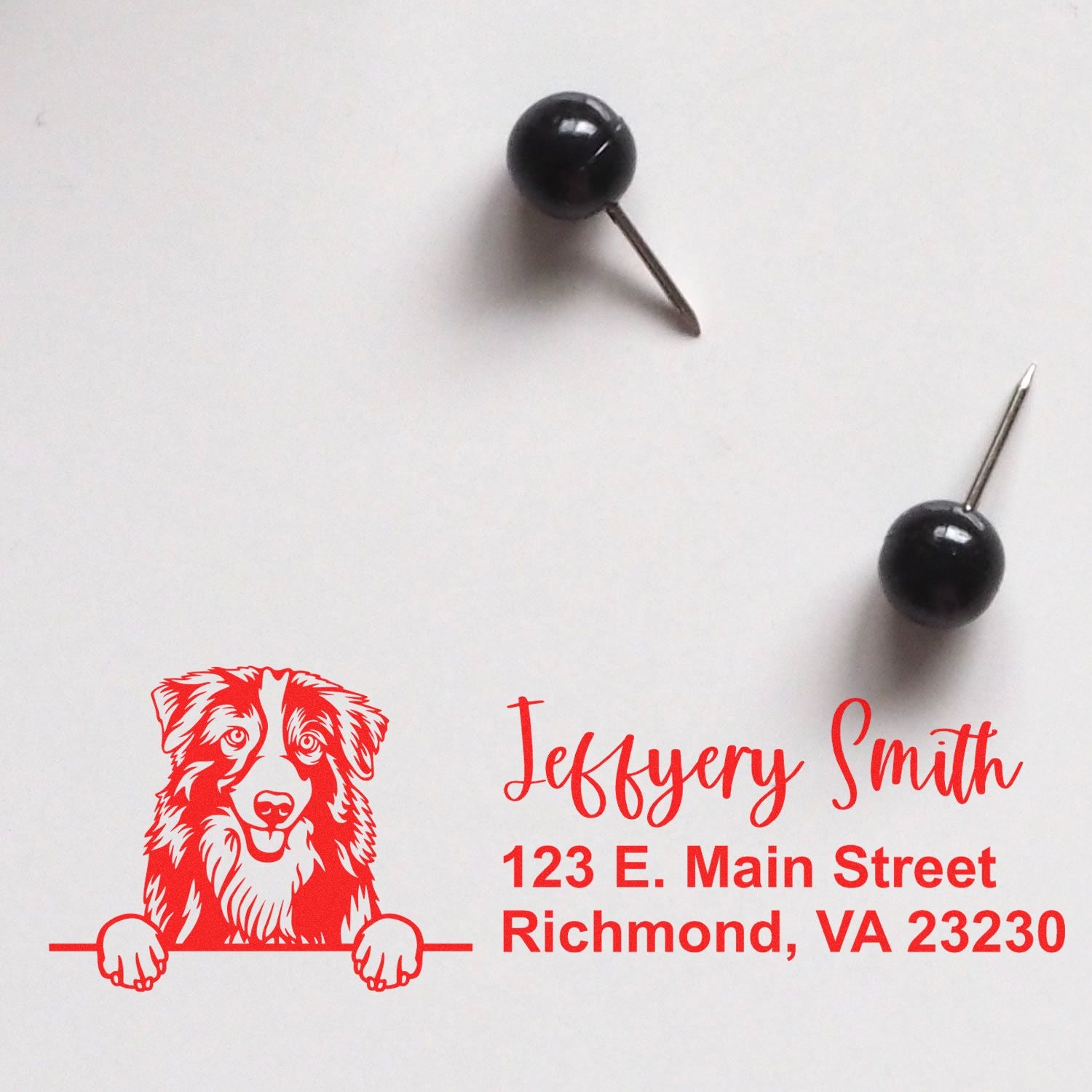 Custom dog logo address rubber stamp with name and Richmond, VA mailing details in red ink.