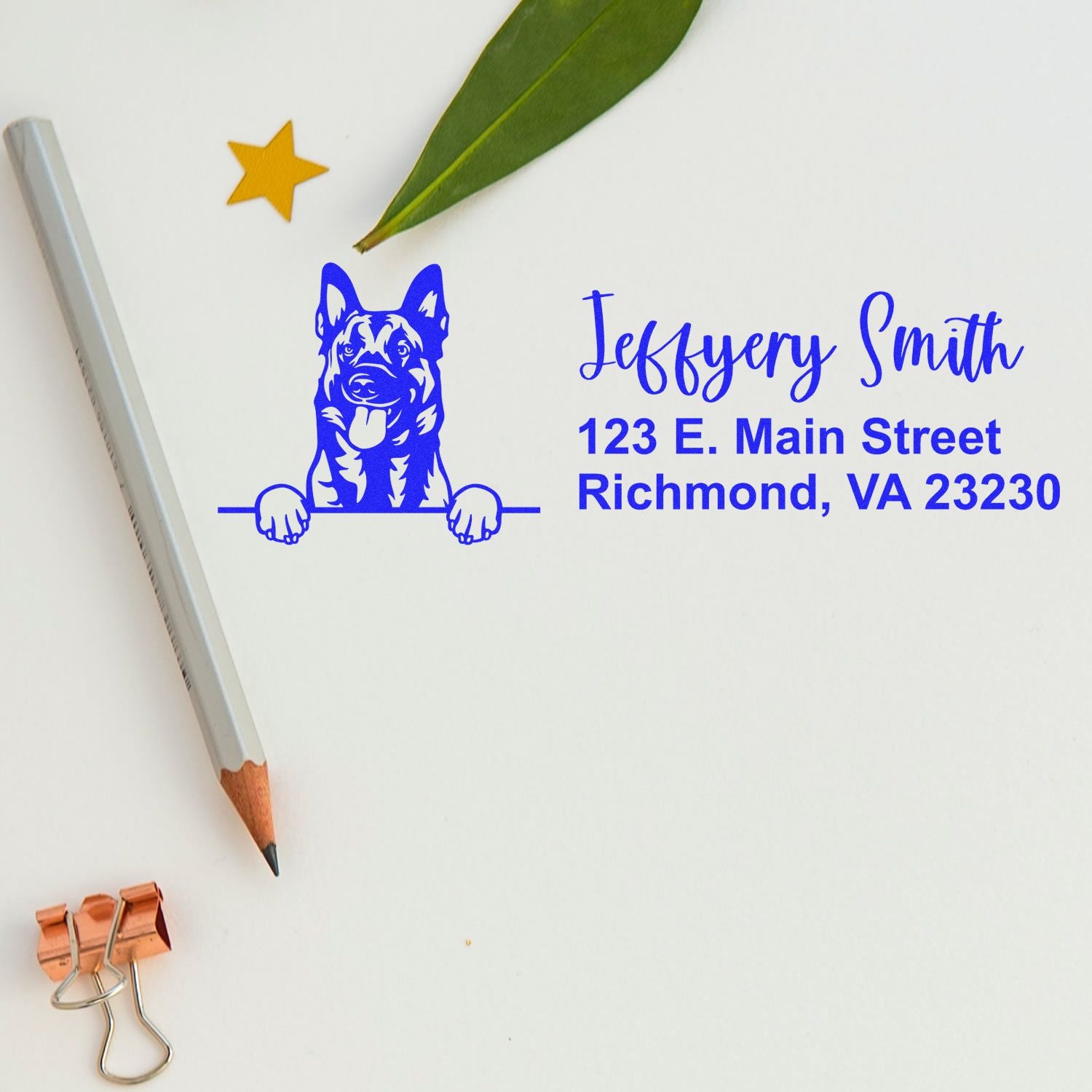 Personalized dog address rubber stamp with name and Richmond, VA return address in blue ink