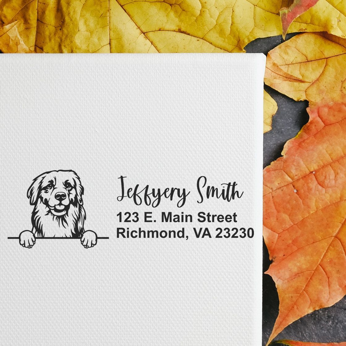 Personalized dog address rubber stamp with name and return address for pet-themed stationery and mailing.