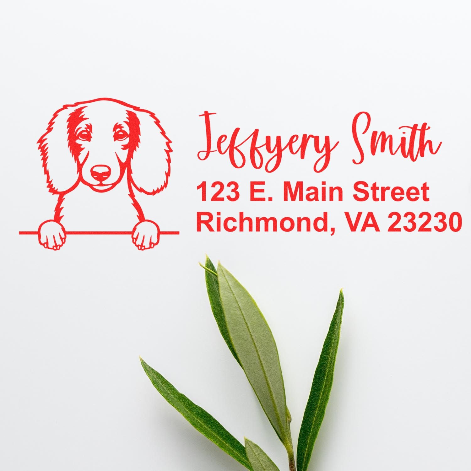 Personalized dog return address rubber stamp for Jeffrey Smith, 123 E. Main Street, Richmond, VA.