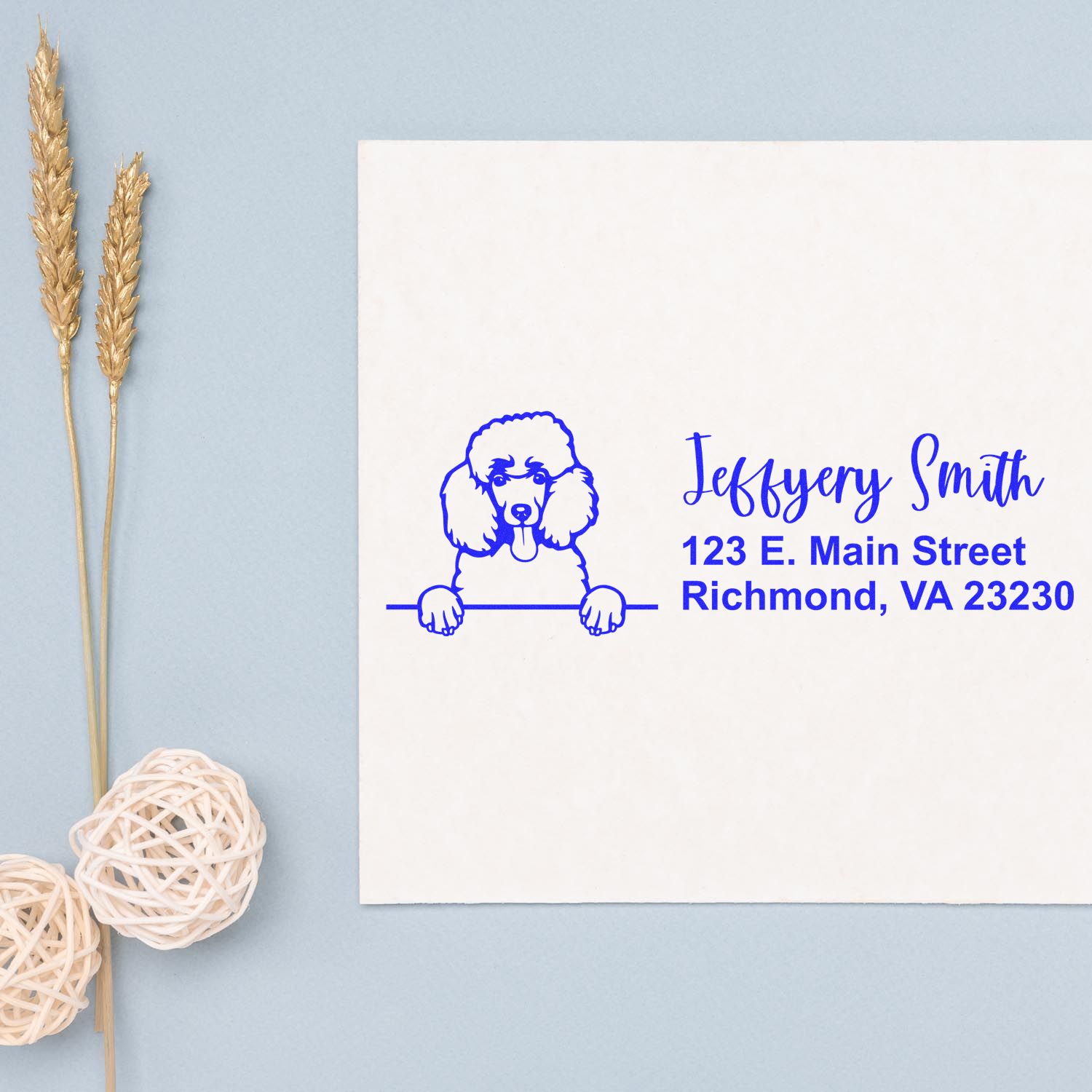 Custom poodle address rubber stamp with name and Richmond, VA mailing address on white envelope.