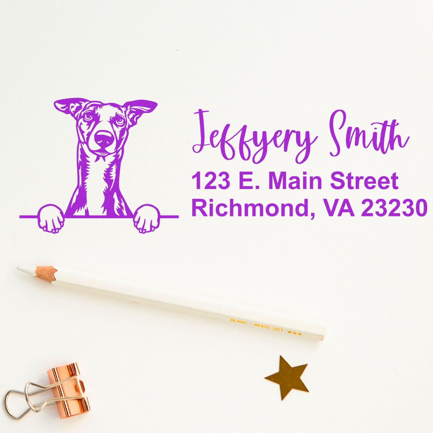 Custom dog address rubber stamp with personalized name and Richmond, VA 23230 return address in purple ink.