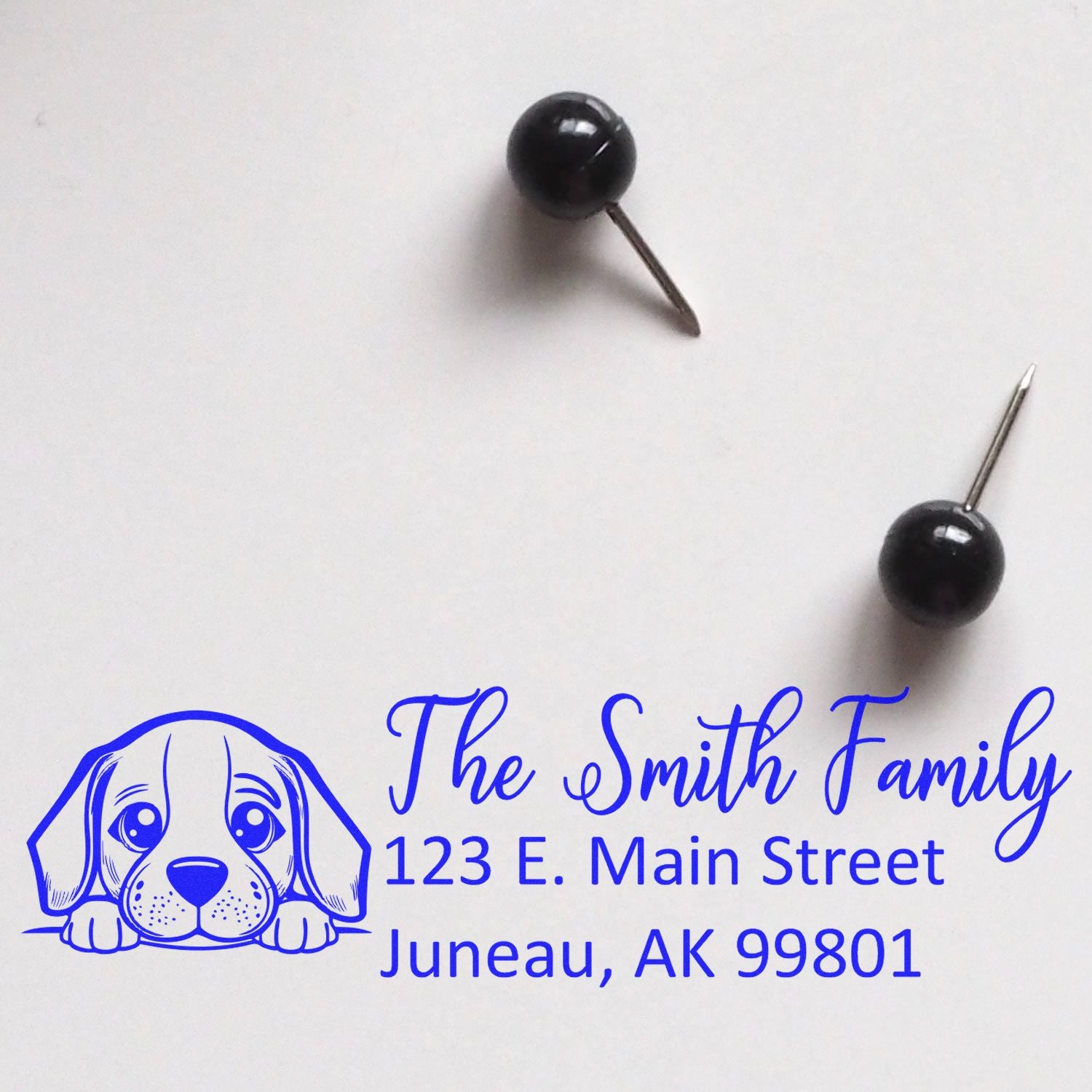 Custom dog return address rubber stamp with family name, street address, and city, shown in blue ink on white paper.