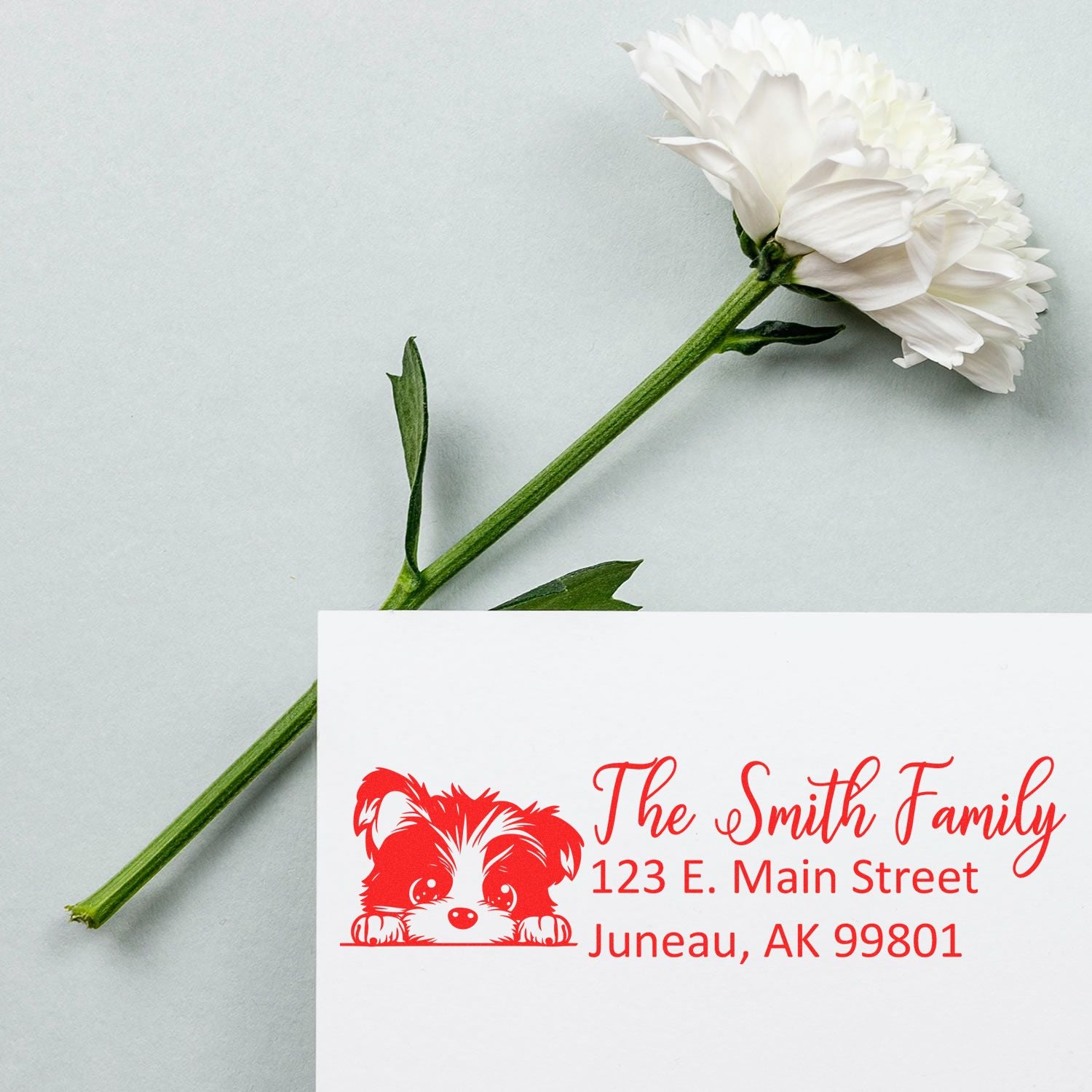 Custom dog return address rubber stamp for The Smith Family, with personalized mailing address in Juneau, AK.