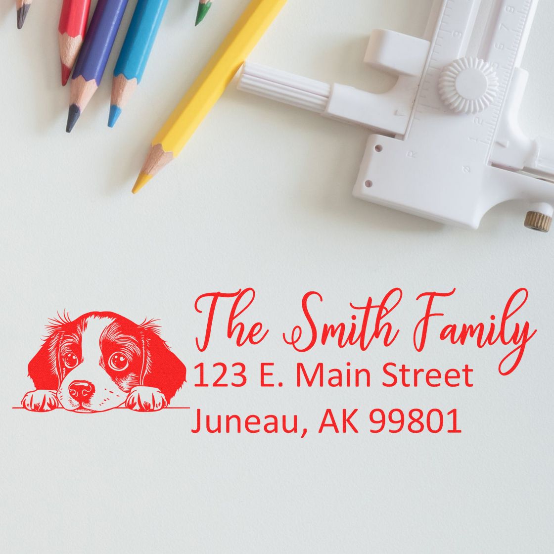 Custom dog return address rubber stamp with family name, street address, and city for personalized envelopes and cards.