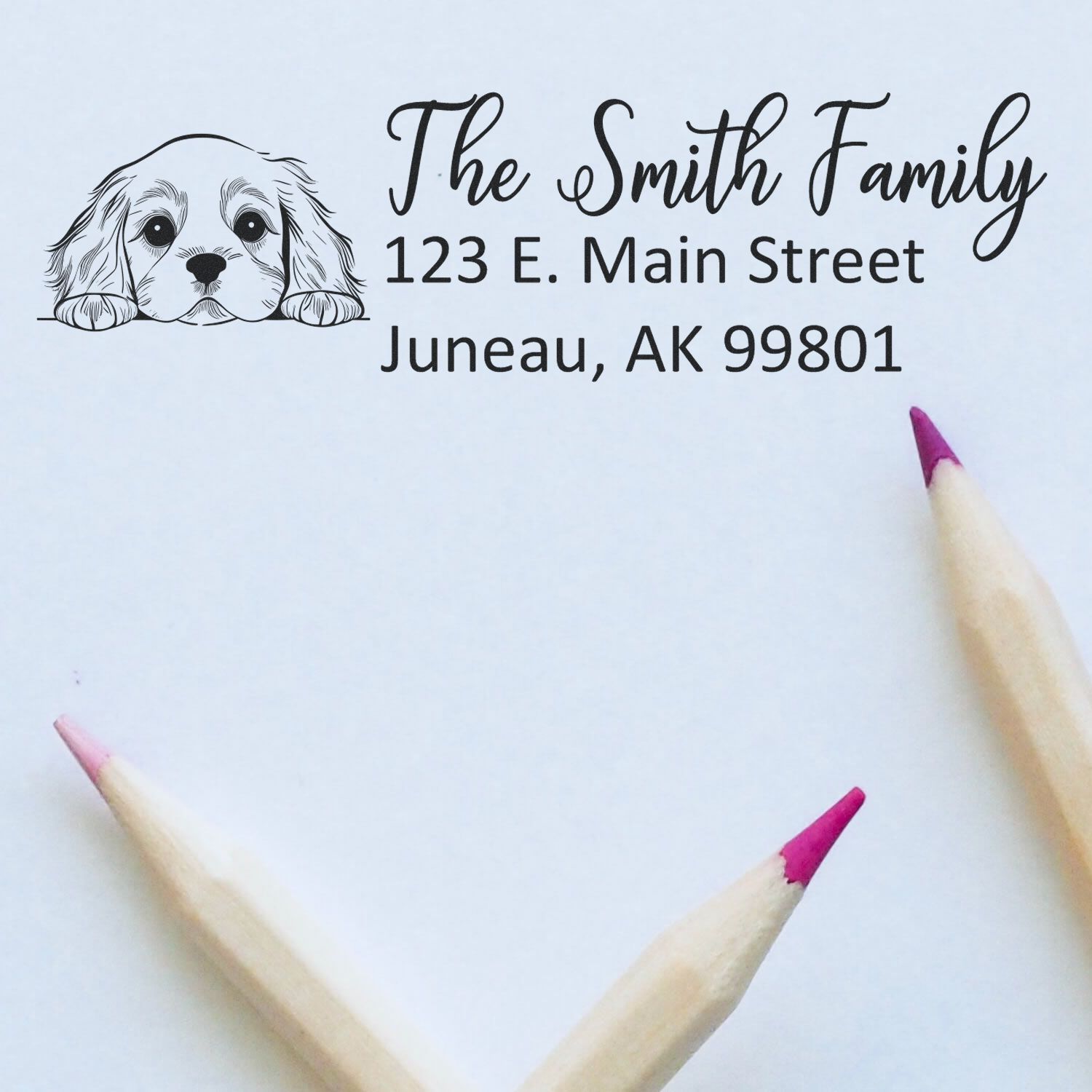 Custom return address rubber stamp with dog illustration for The Smith Family, Juneau, AK.