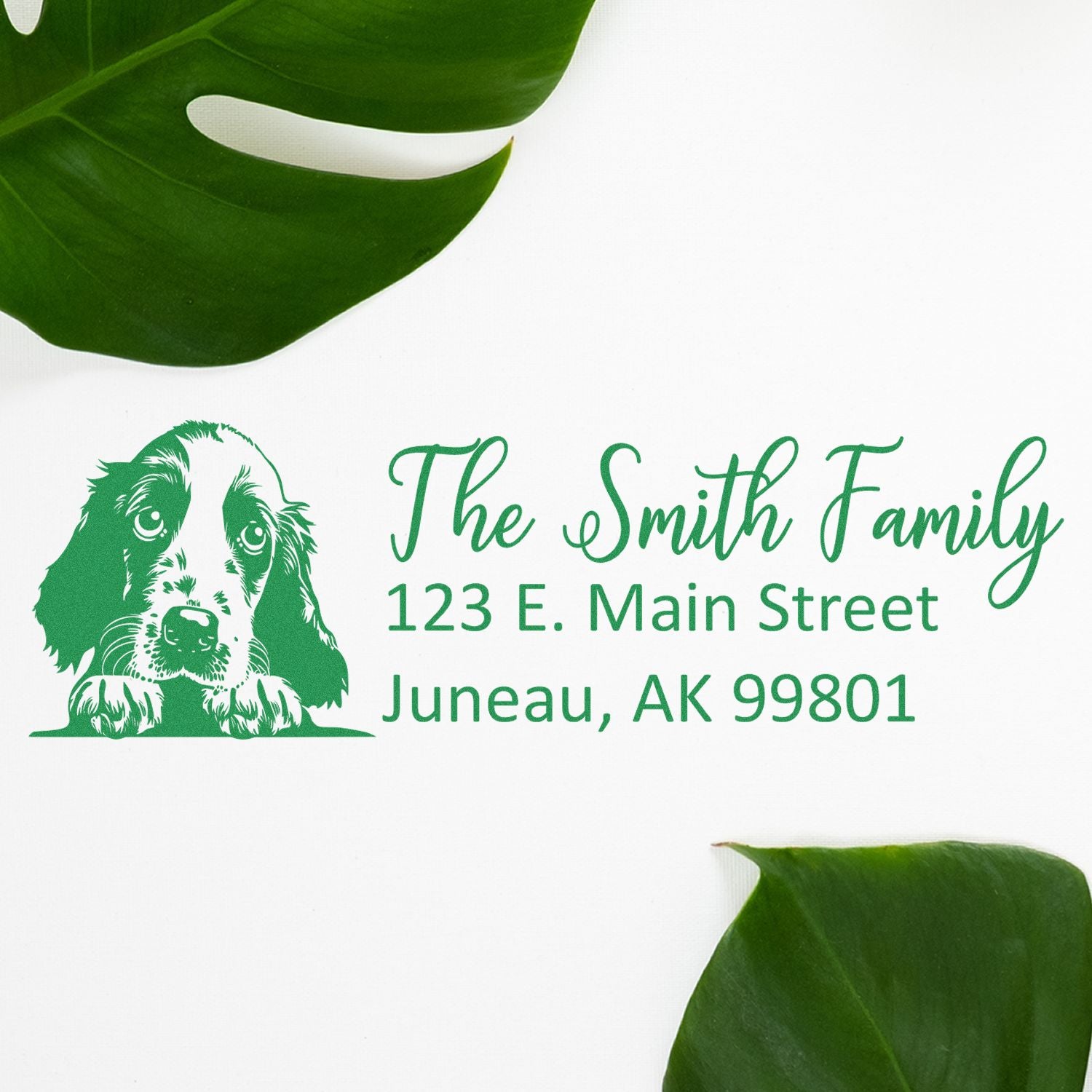 Personalized dog return address rubber stamp with custom family name, address, and pet-themed green design.