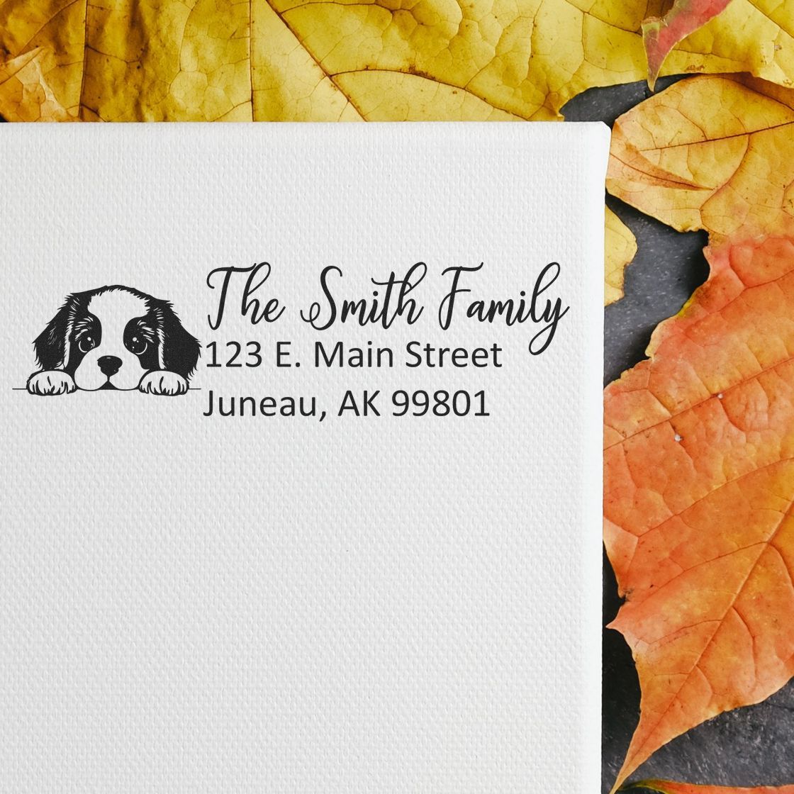 Custom dog return address stamp with family name and address for personalized envelopes and holiday mail.