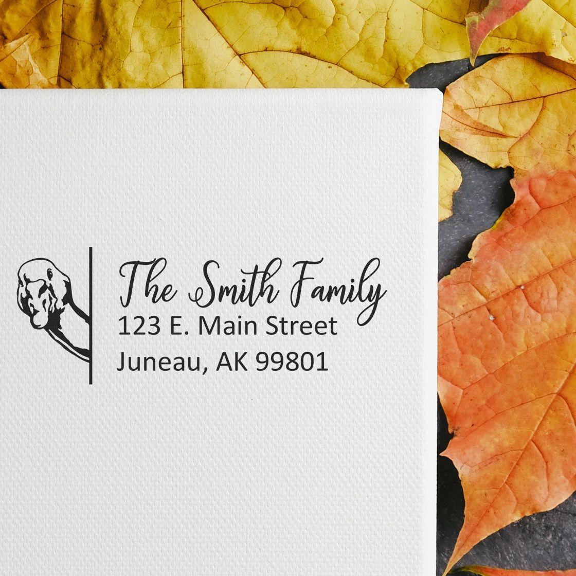 Custom return address rubber stamp for The Smith Family, with Juneau, AK address and bear logo on white paper.