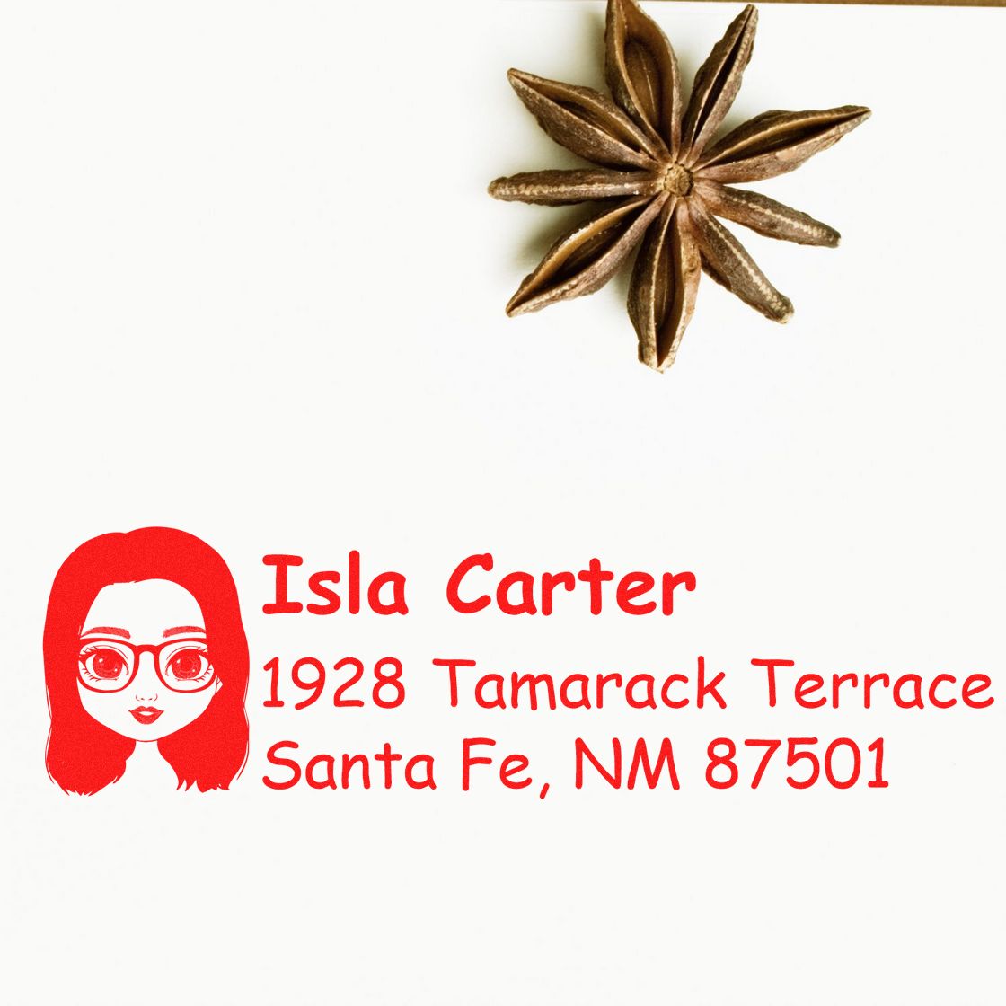 Personalized rubber address stamp for mailing, featuring name, Santa Fe, NM address, and custom avatar logo.