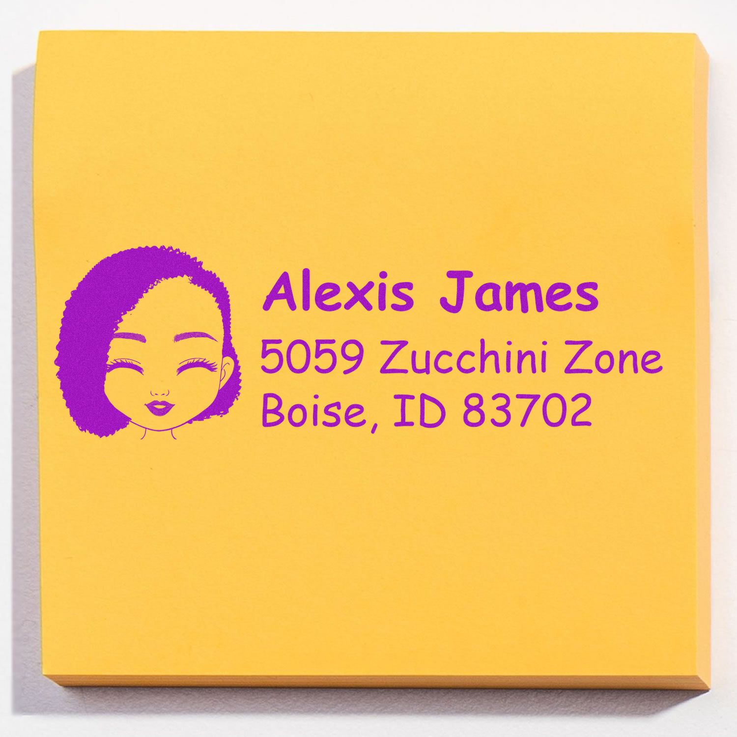Personalized custom address rubber stamp for Alexis James, Boise ID, with illustrated logo for mail and packaging.